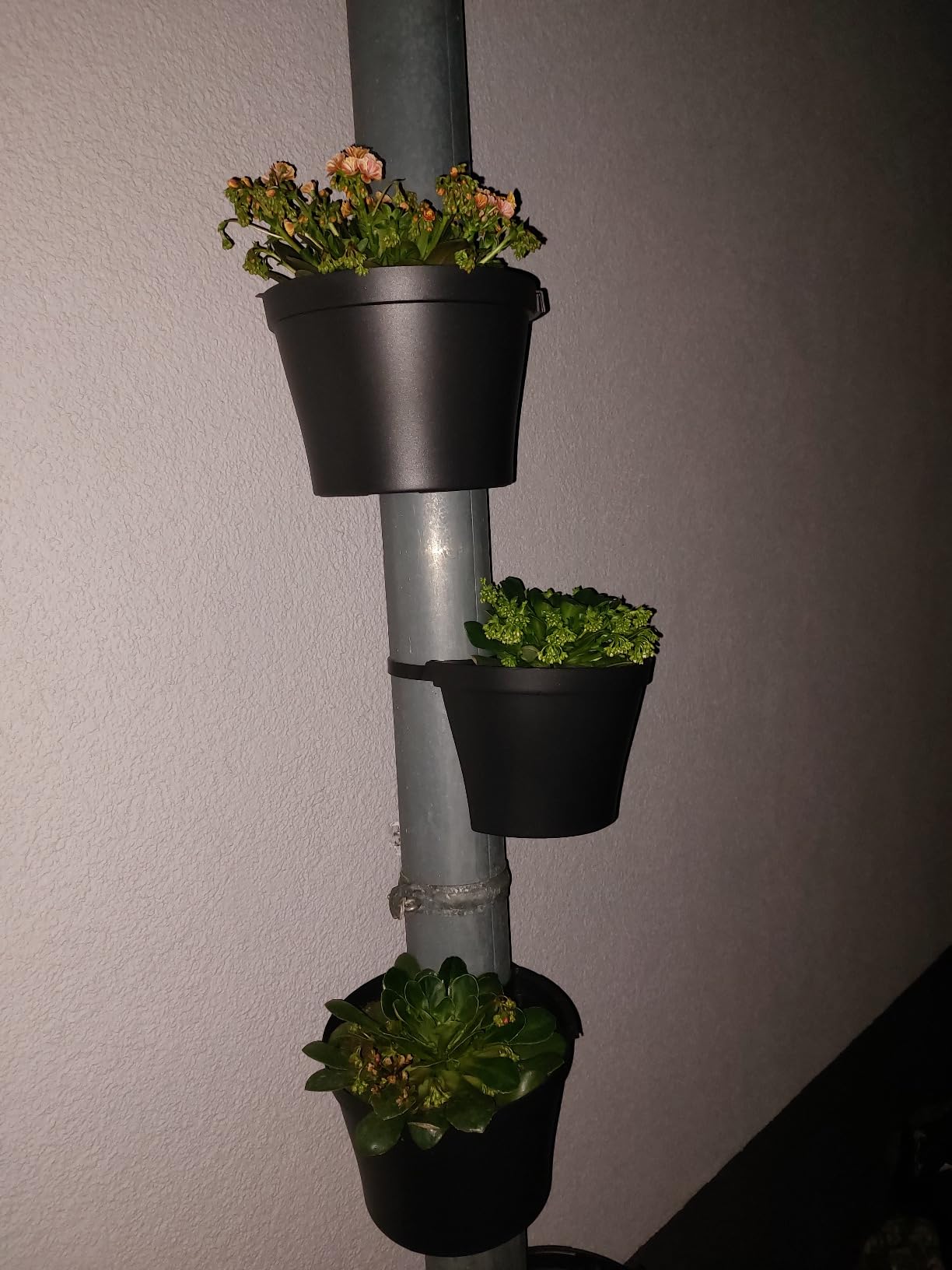 Gute Größe