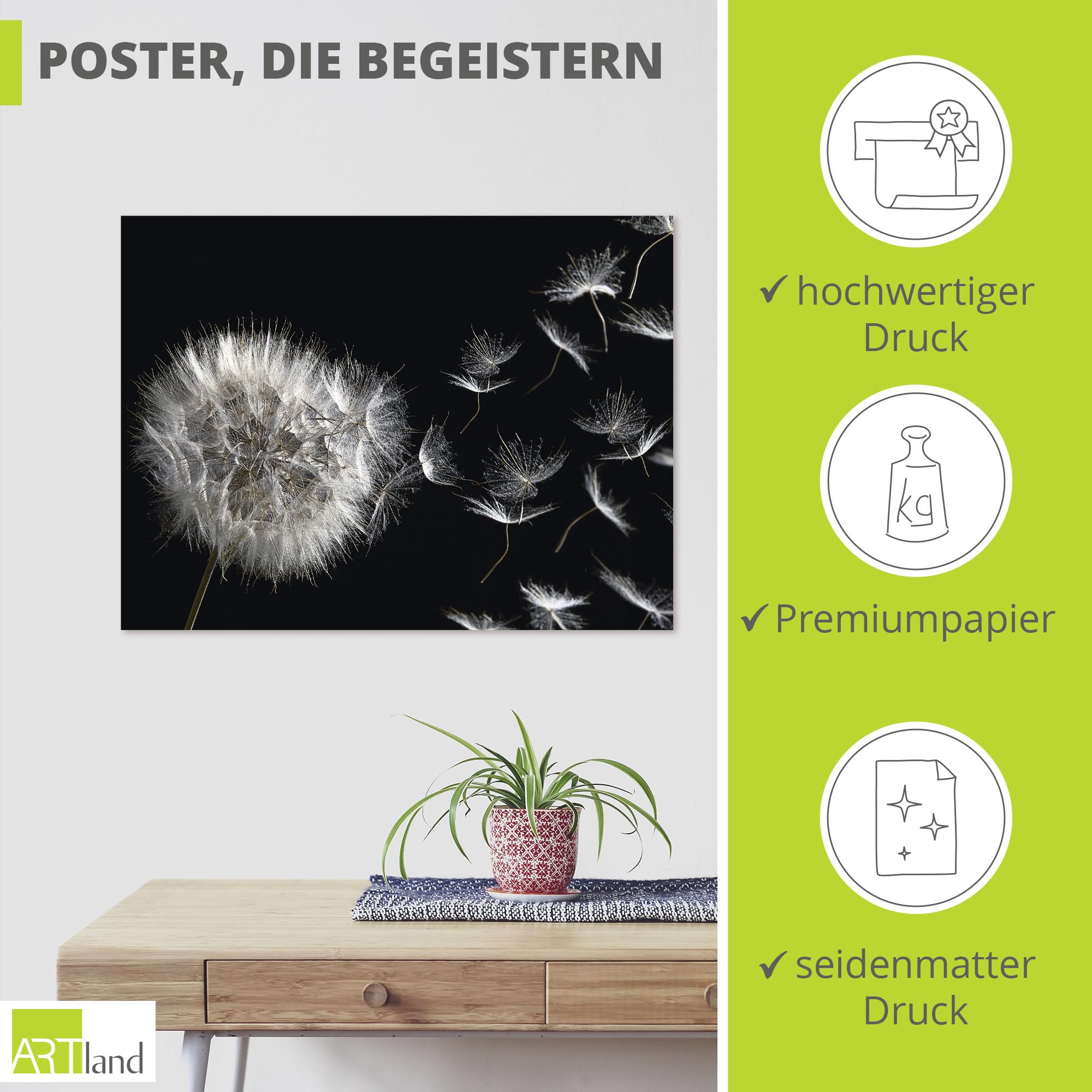 artland-pusteblume-poster-80x60-cm-schwarz-wei image 2