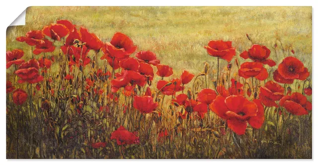 artland-kunstdrucke-mohnblumenwiese-poster-100x50-cm image 1