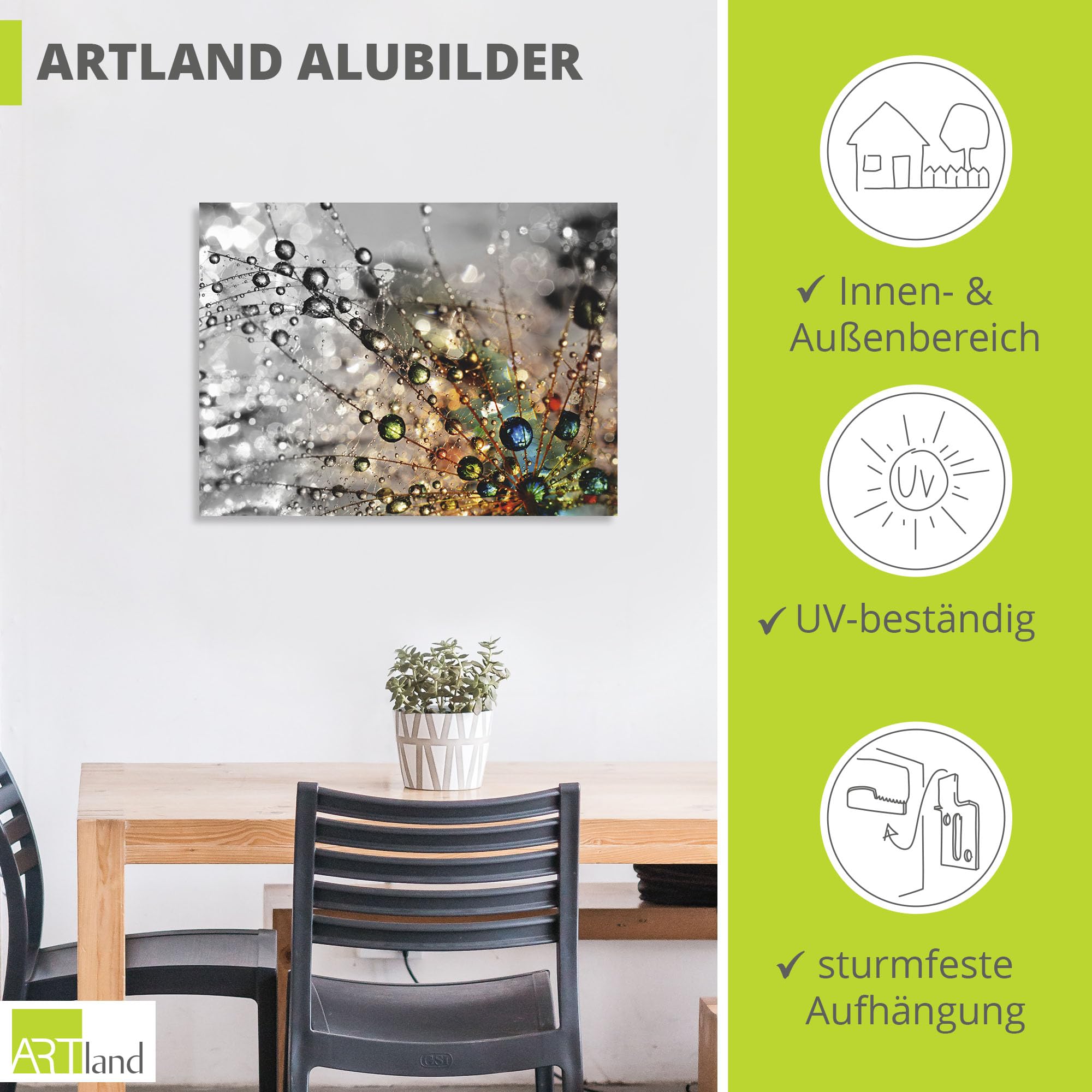 artland-alubilder-pusteblume-80x60-cm-wetterfest-outdoor image 3