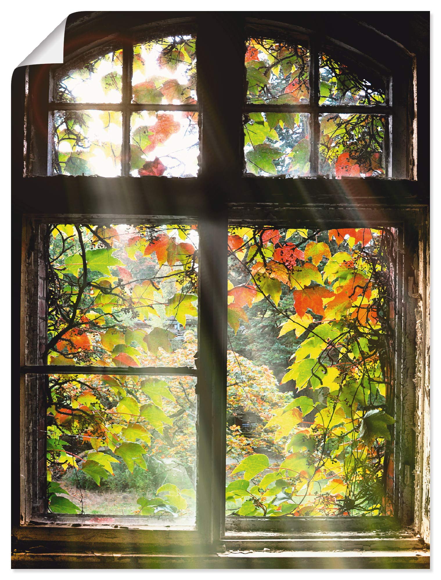 artland-kunstdrucke-poster-fenster-herbst-80x60-cm-wandposter image 1