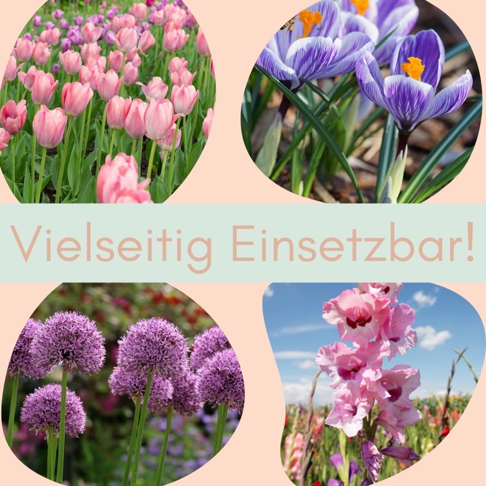 garpet-garten-pflanzkorb-blumenzwiebeln-22-cm-3-st-schutz image 7