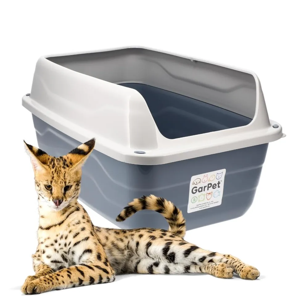 garpet-tierwelt-xxl-katzentoilette-offen-hoher-rand-56x40-cm image 1