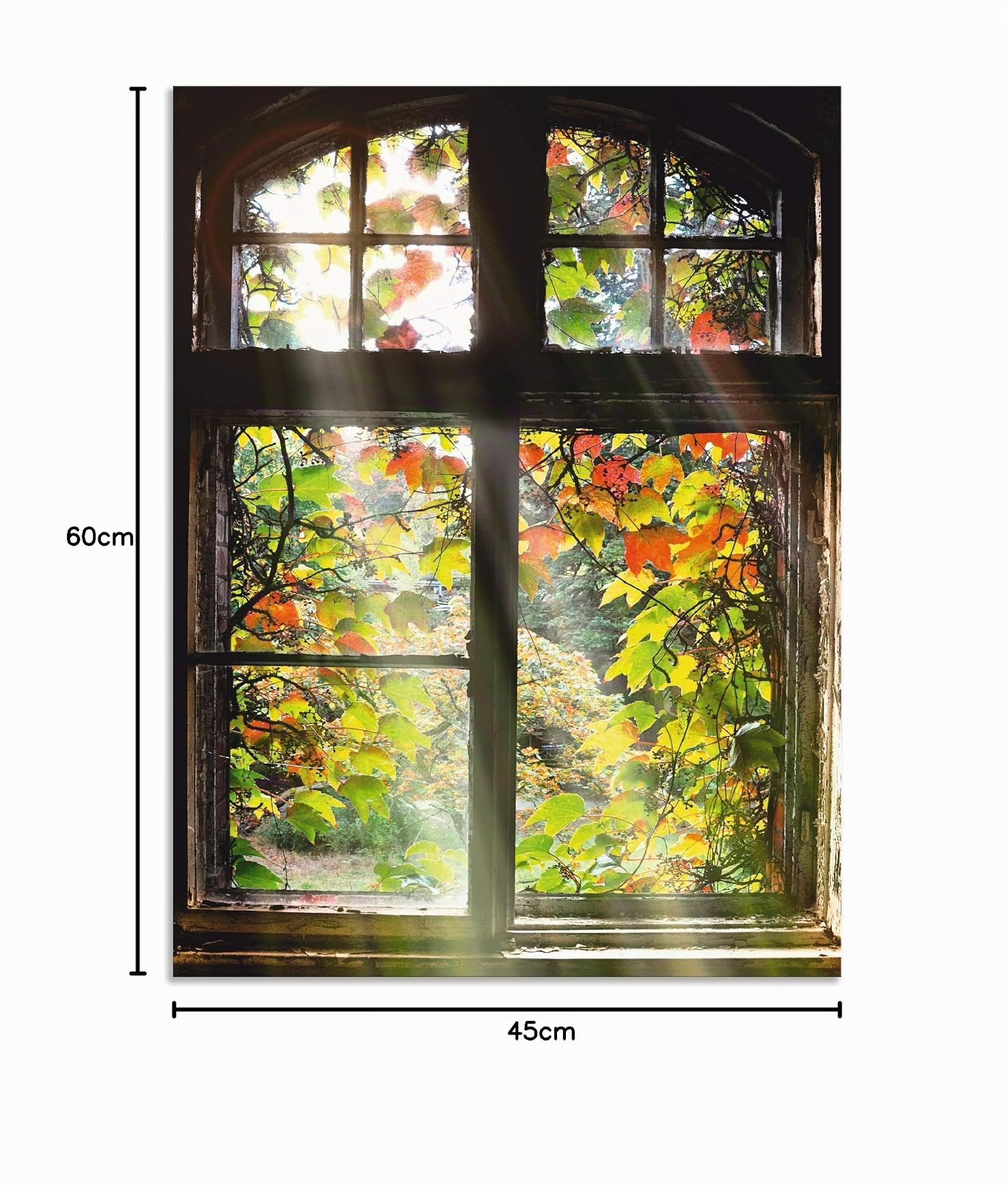 artland-alubilder-t5xh-alubild-60x45-cm-altbau-fensterblick image 8