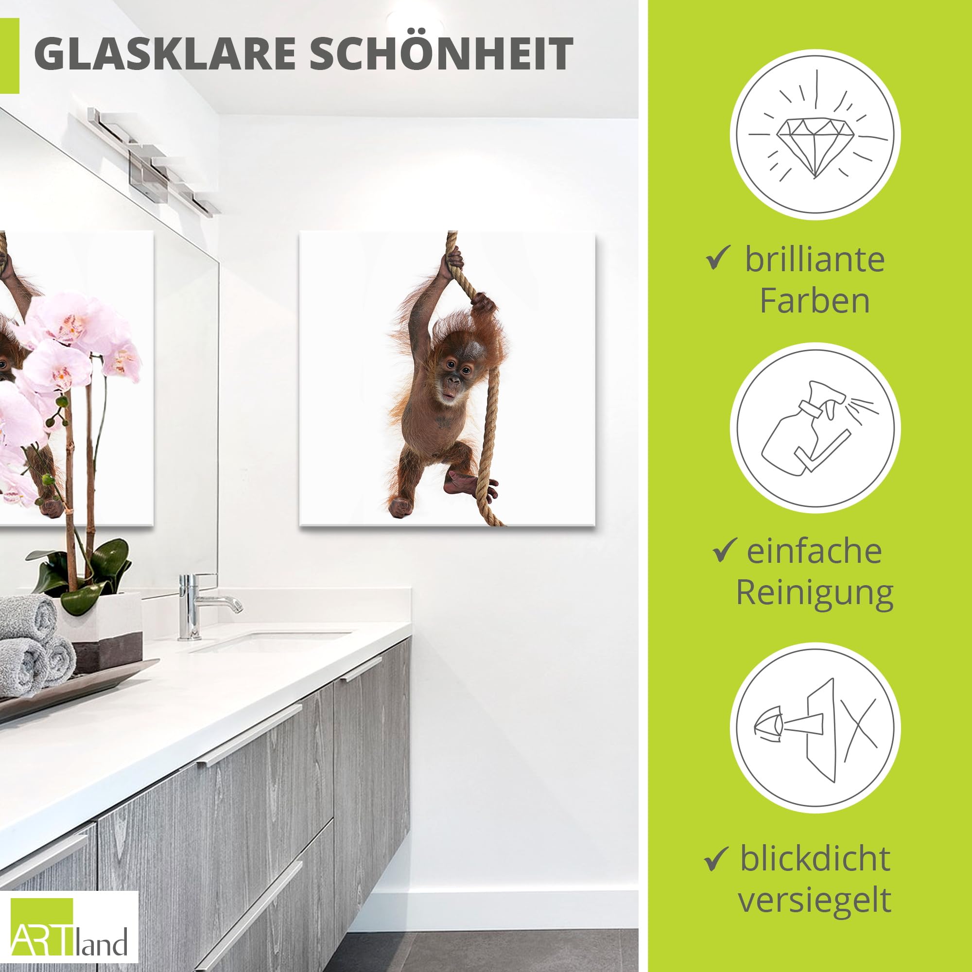 artland-glasbilder-t5ri-glasbild-affe-baby-orang-utan image 2