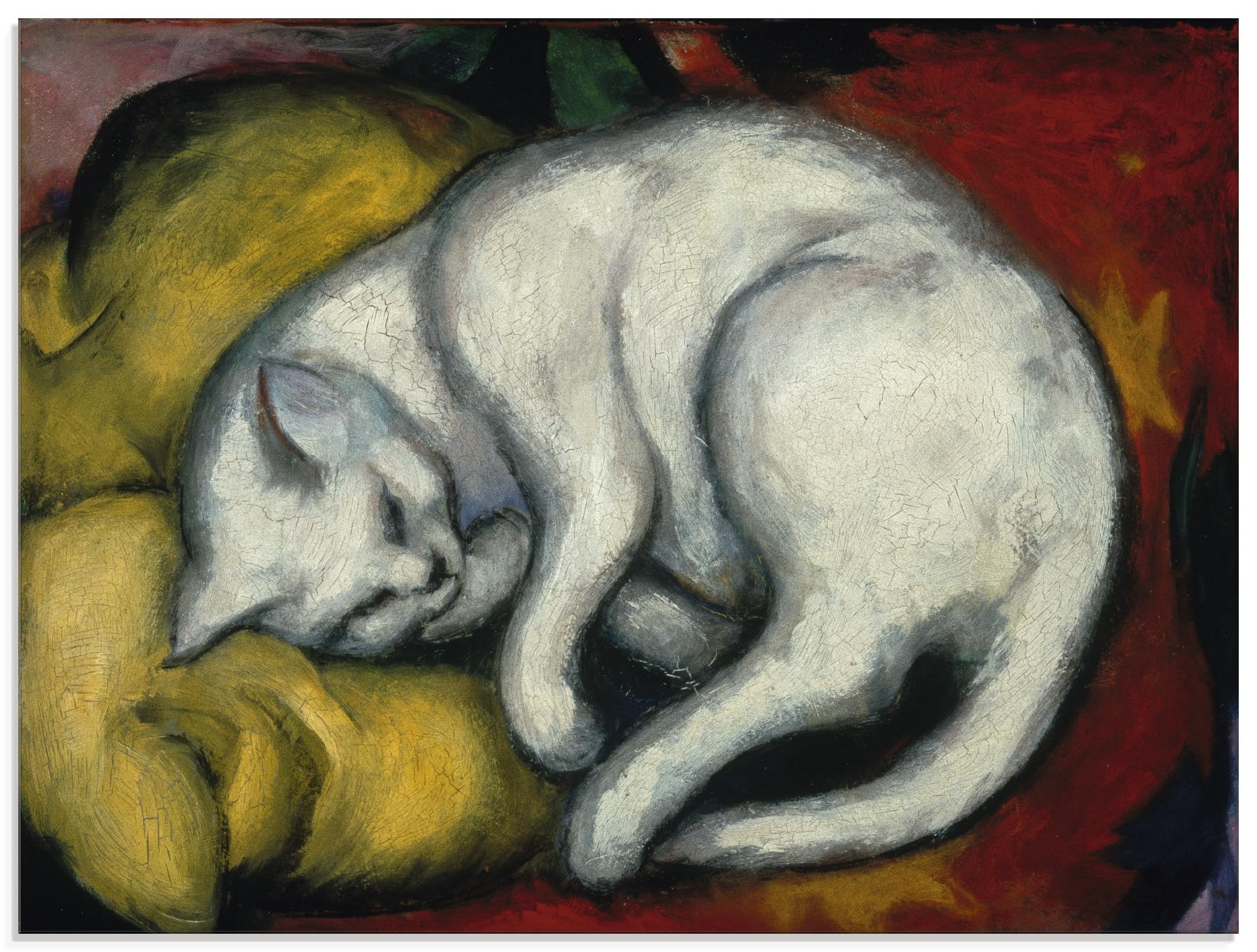 artland-glasbilder-t7su-bild-weisse-katze-60x45cm image 1