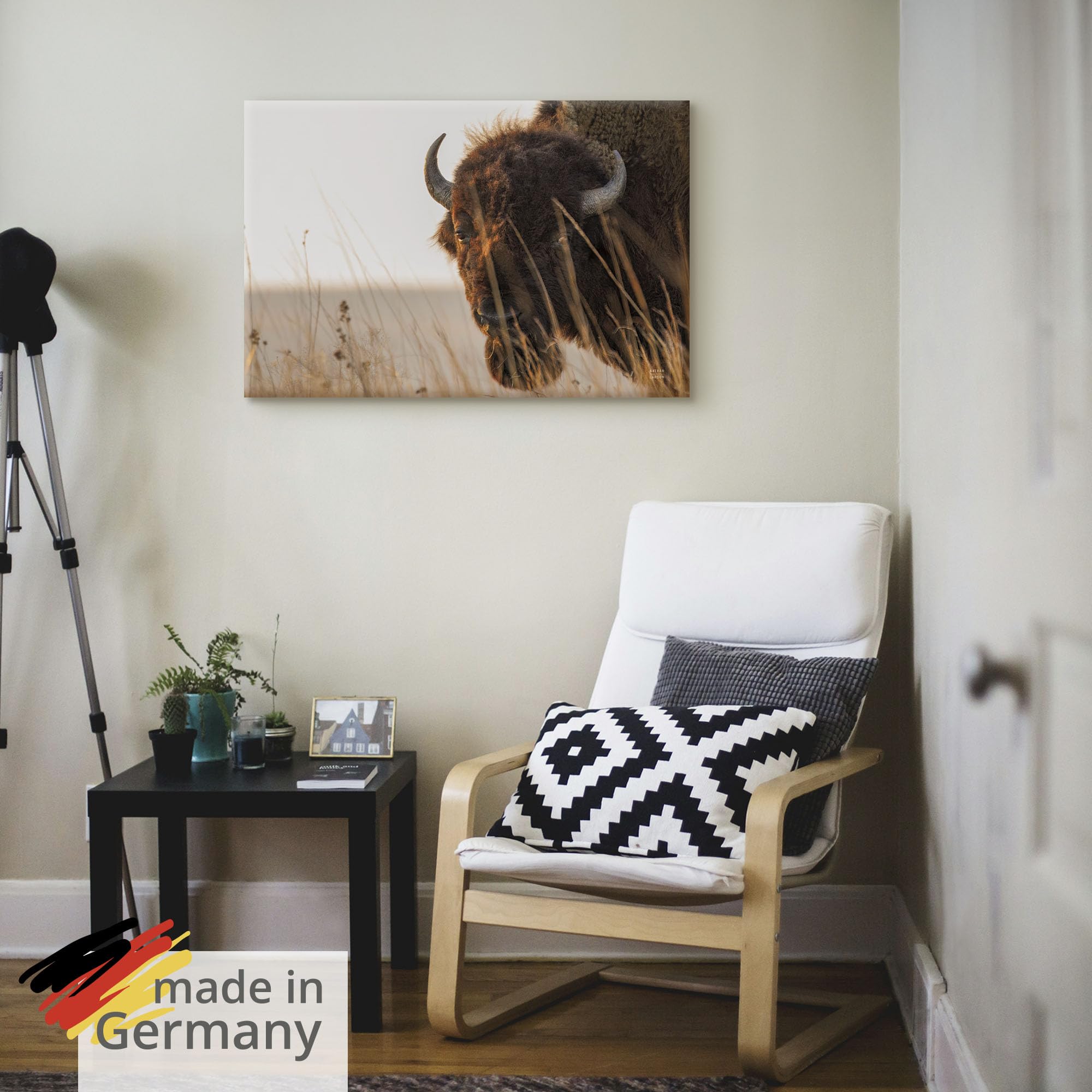 artland-leinwandbilder-bison-meditation-leinwandbild-30-x-30-cm image 5