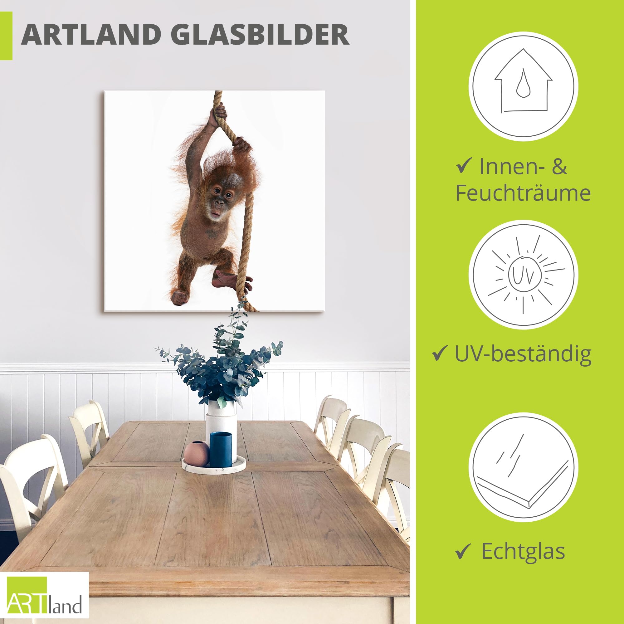 artland-glasbilder-t5ri-glasbild-affe-baby-orang-utan image 3