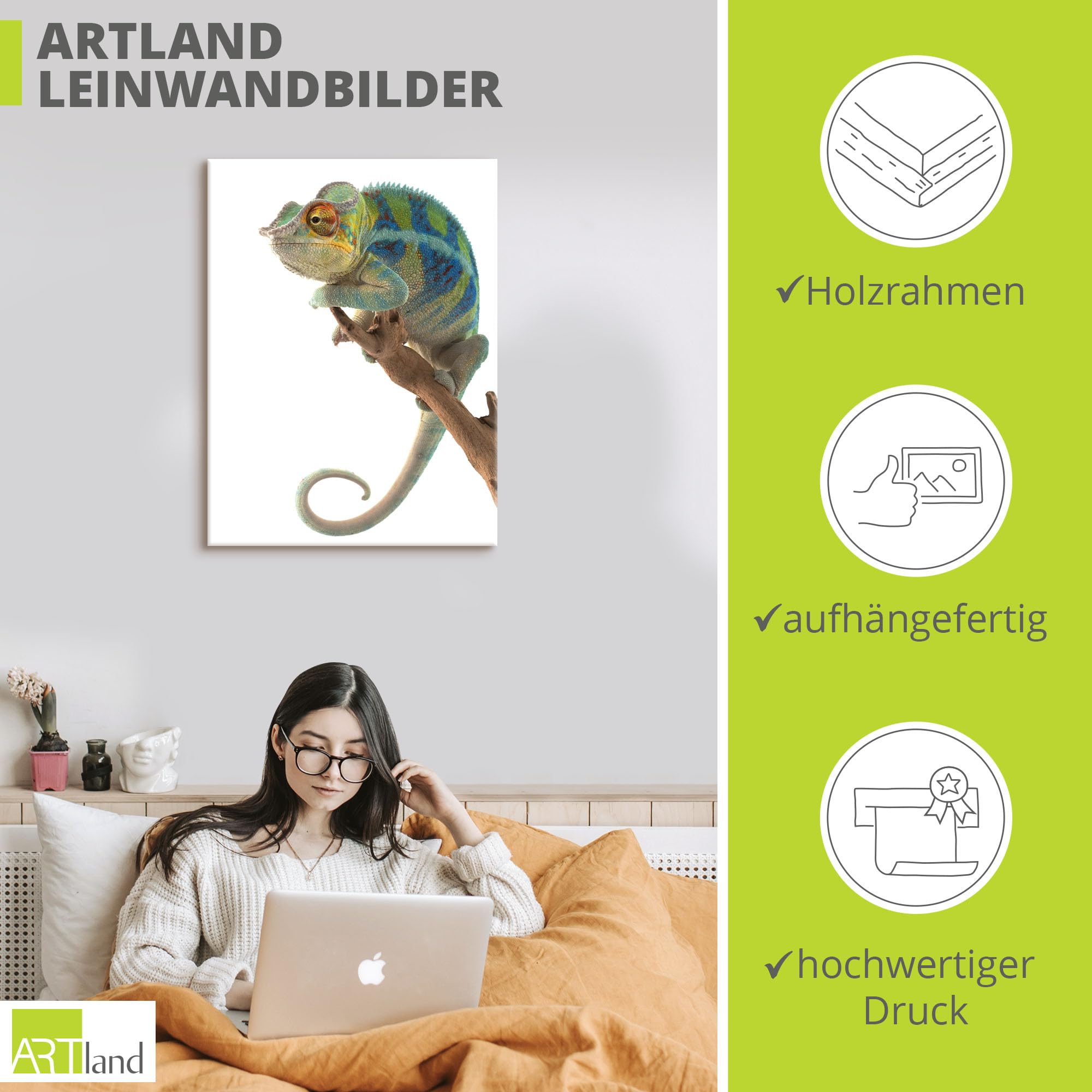 artland-leinwandbild-cham-leon-leinwand-60x45-cm-tiere image 3