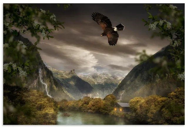 artland-alubilder-r0cf-alubild-30x20-adler-outdoor image 1