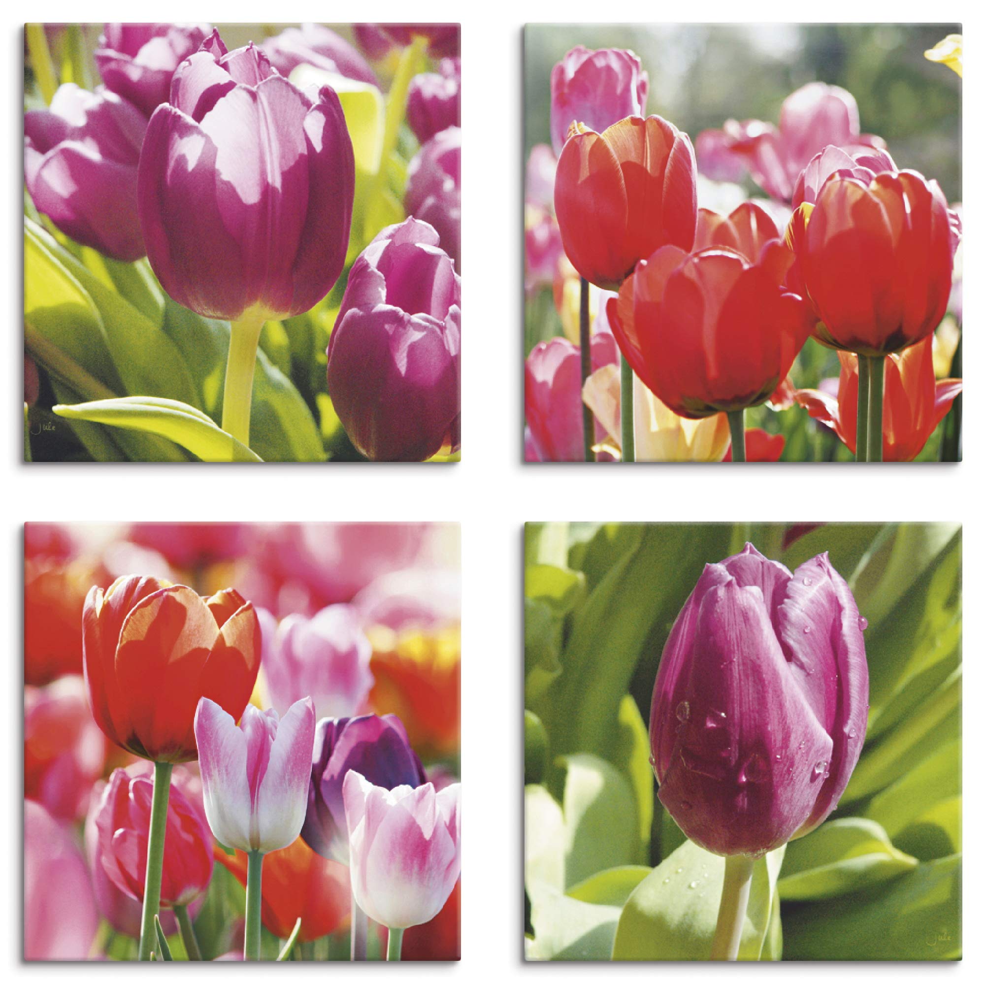 artland-leinwandbilder-j4xd-set-4x40x40-cm-pusteblume-blumen image 7
