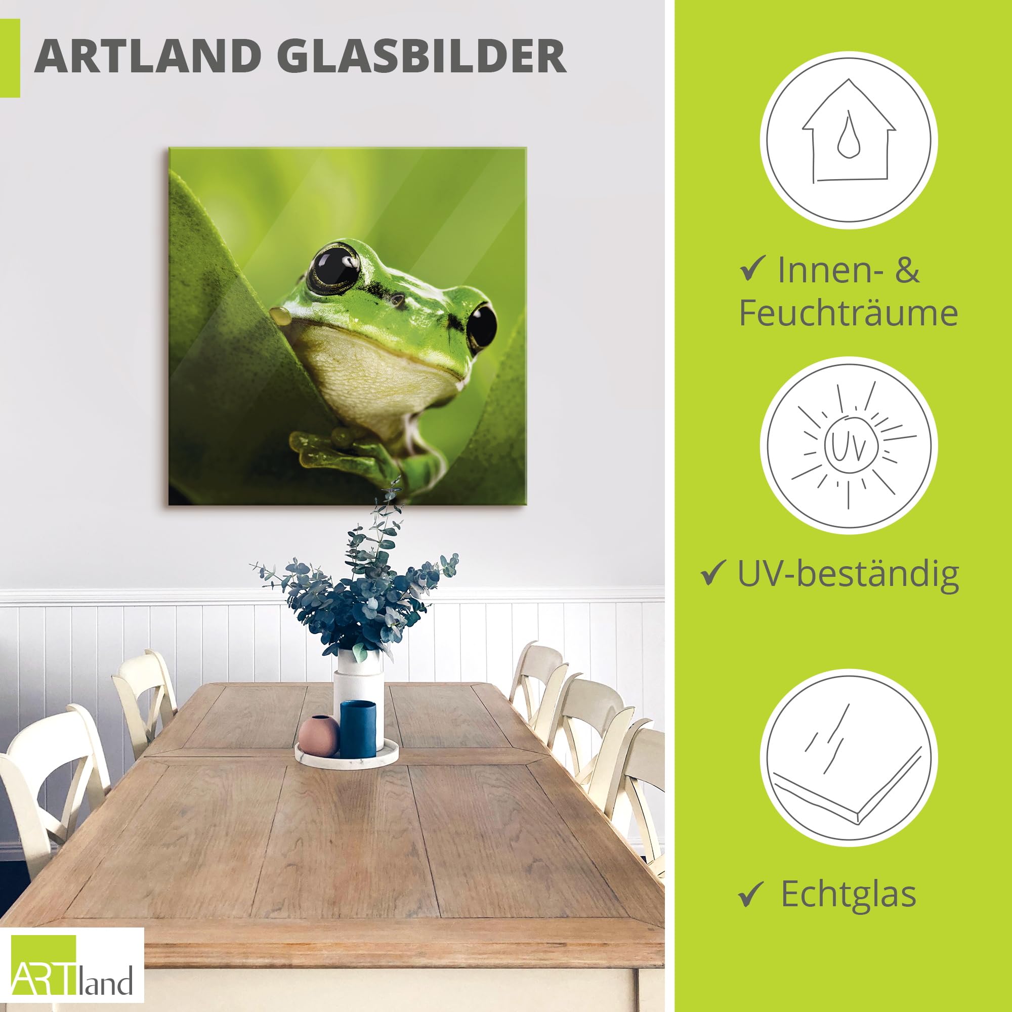 artland-glasbilder-t5vh-glasbild-sp-hender-frosch-gr-n image 3