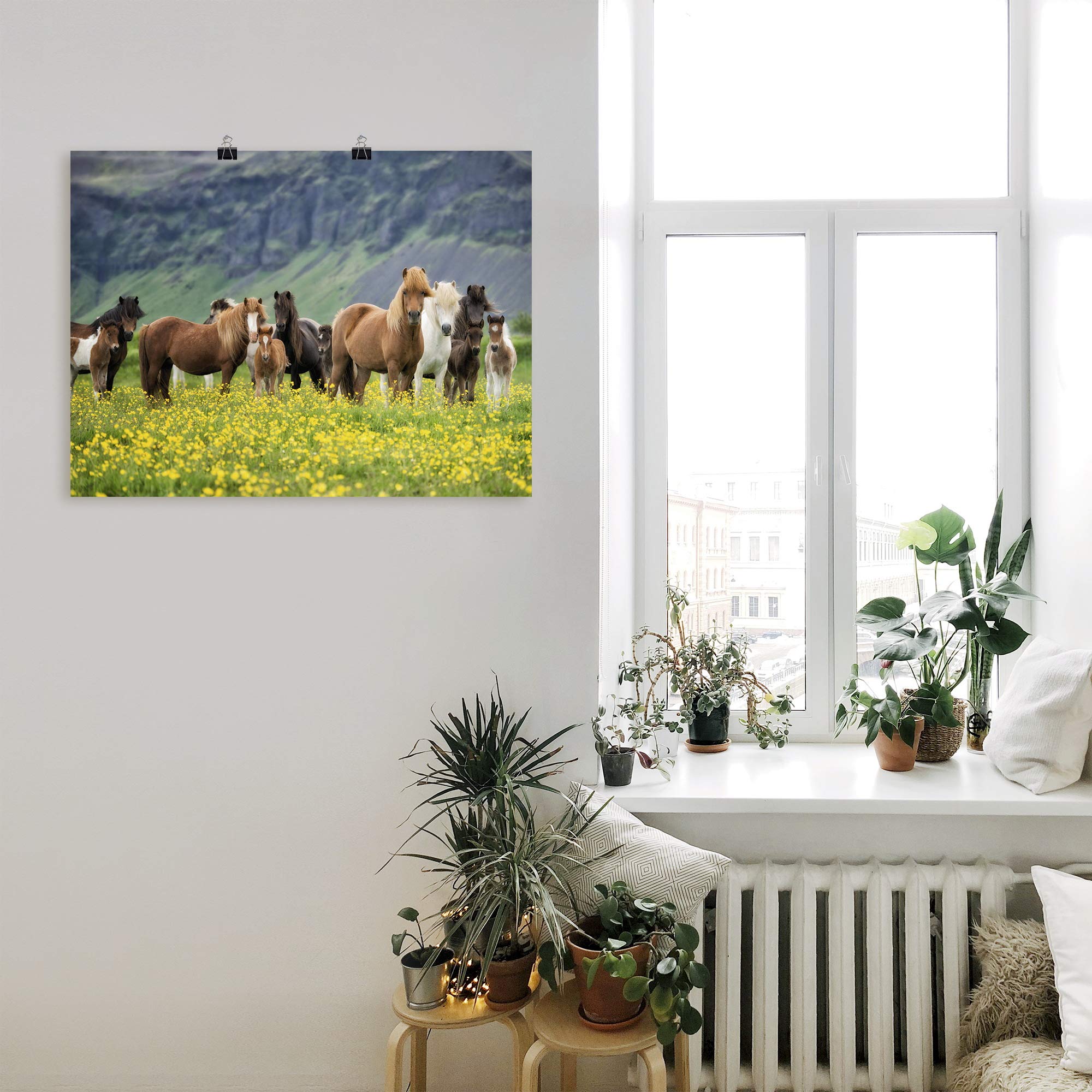 artland-kunstdrucke-t1sl-poster-80x60-cm-pferde-island image 8