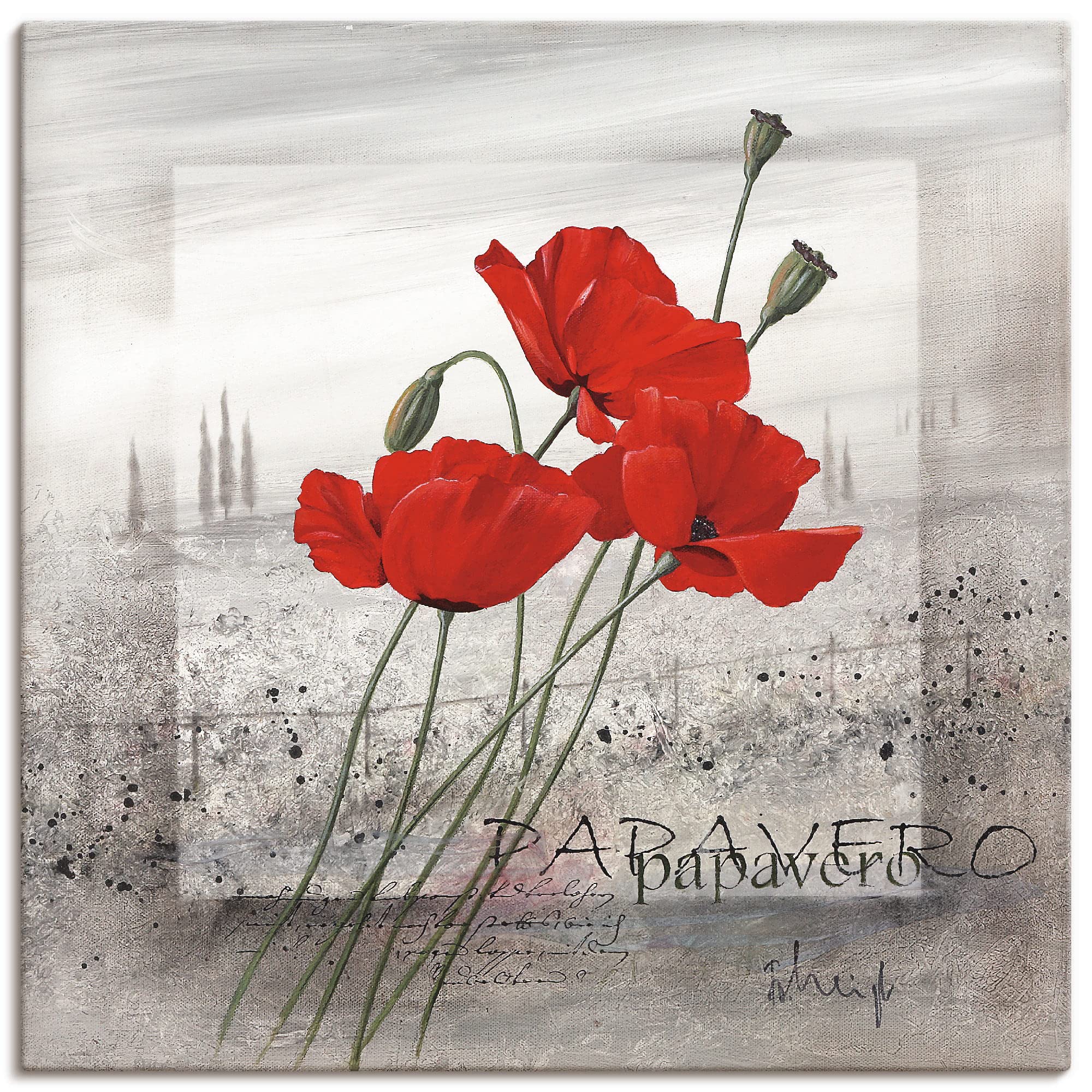 artland-leinwandbilder-mohnblumen-am-morgen-leinwandbild-40x40-rote-mohnblumen image 1