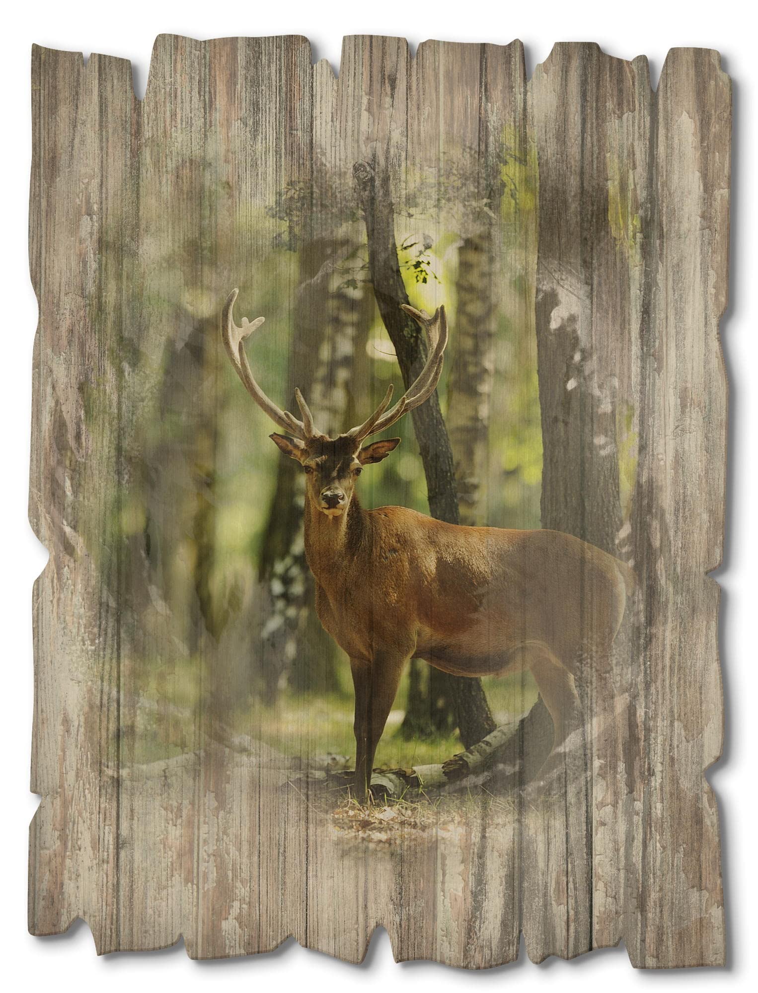 artland-holzbild-hirsch-im-wald-30x40-cm-hochformat image 1