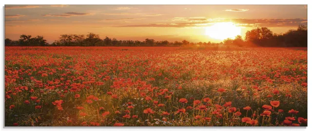 artland-glasbilder-s6am-glasbild-mohnblumenfeld-125x50-cm image 1