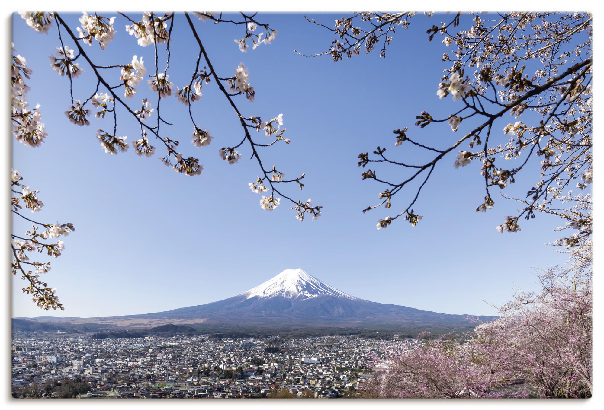 artland-leinwandbilder-fuji-sakura-leinwandbild-120x80-cm image 1
