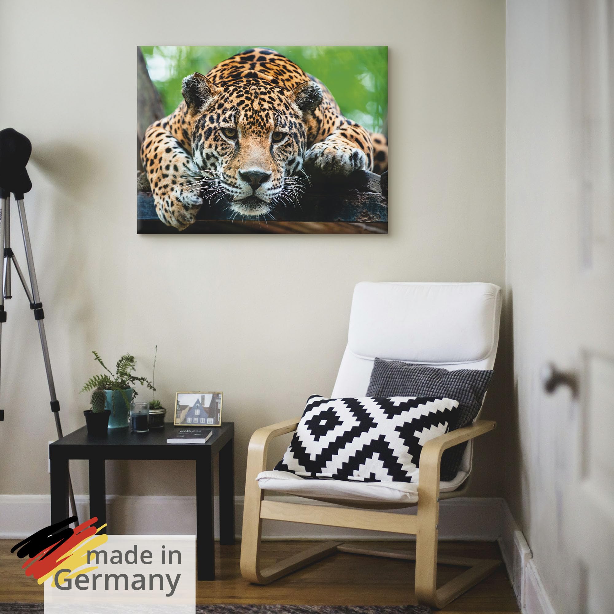 artland-jaguar-leinwandbild-60x45-cm-wildtiere-braun-foto image 5