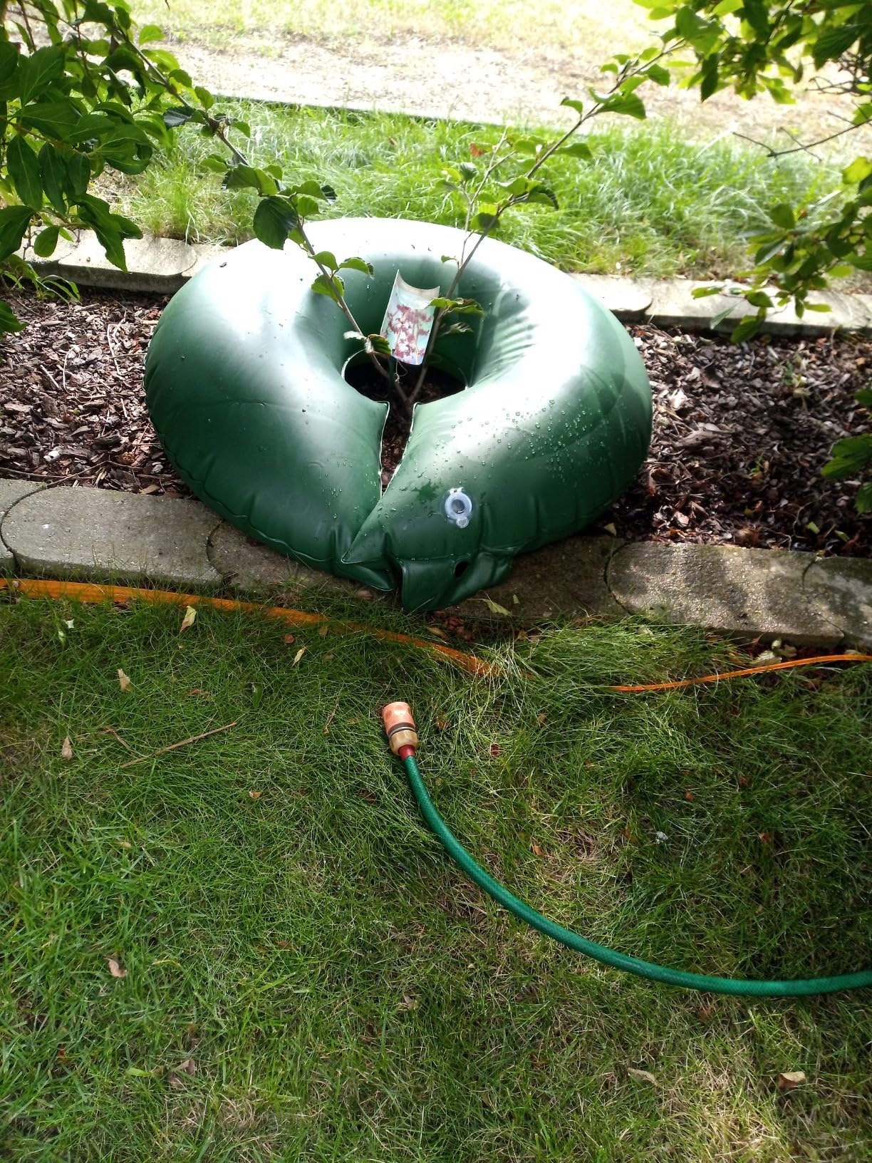 55 Liter drin