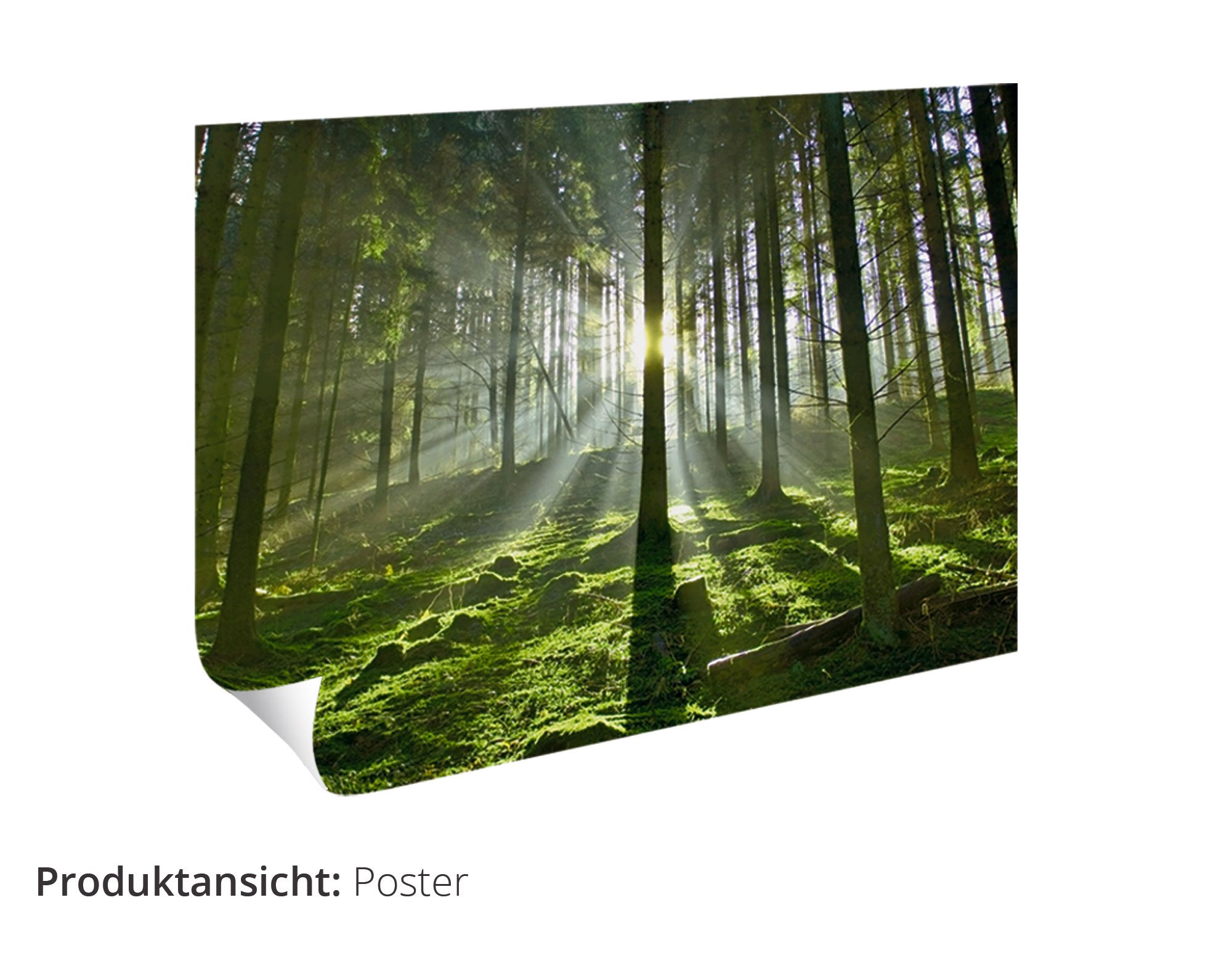 artland-alubilder-le-citron-pattern-alubild-30x30-cm-zitrone image 4