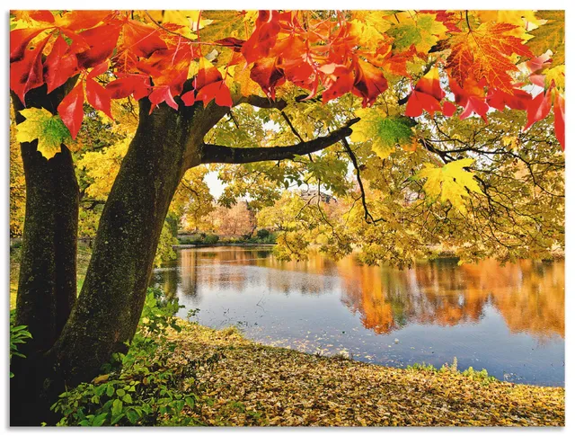 artland-alubilder-herbst-see-alu-bild-60x40-cm-wald-outdoor image 1