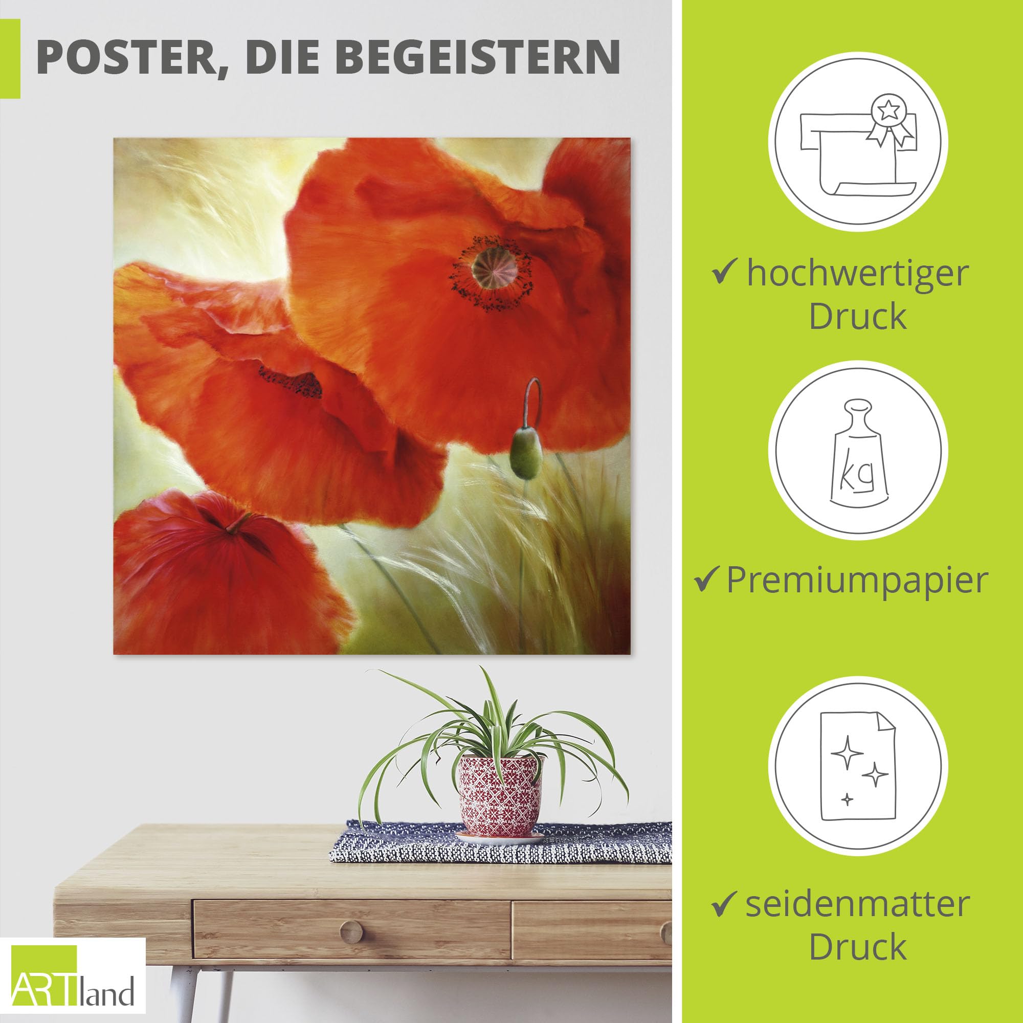 artland-kunstdrucke-u4qn-poster-mohn-mohnblume image 2