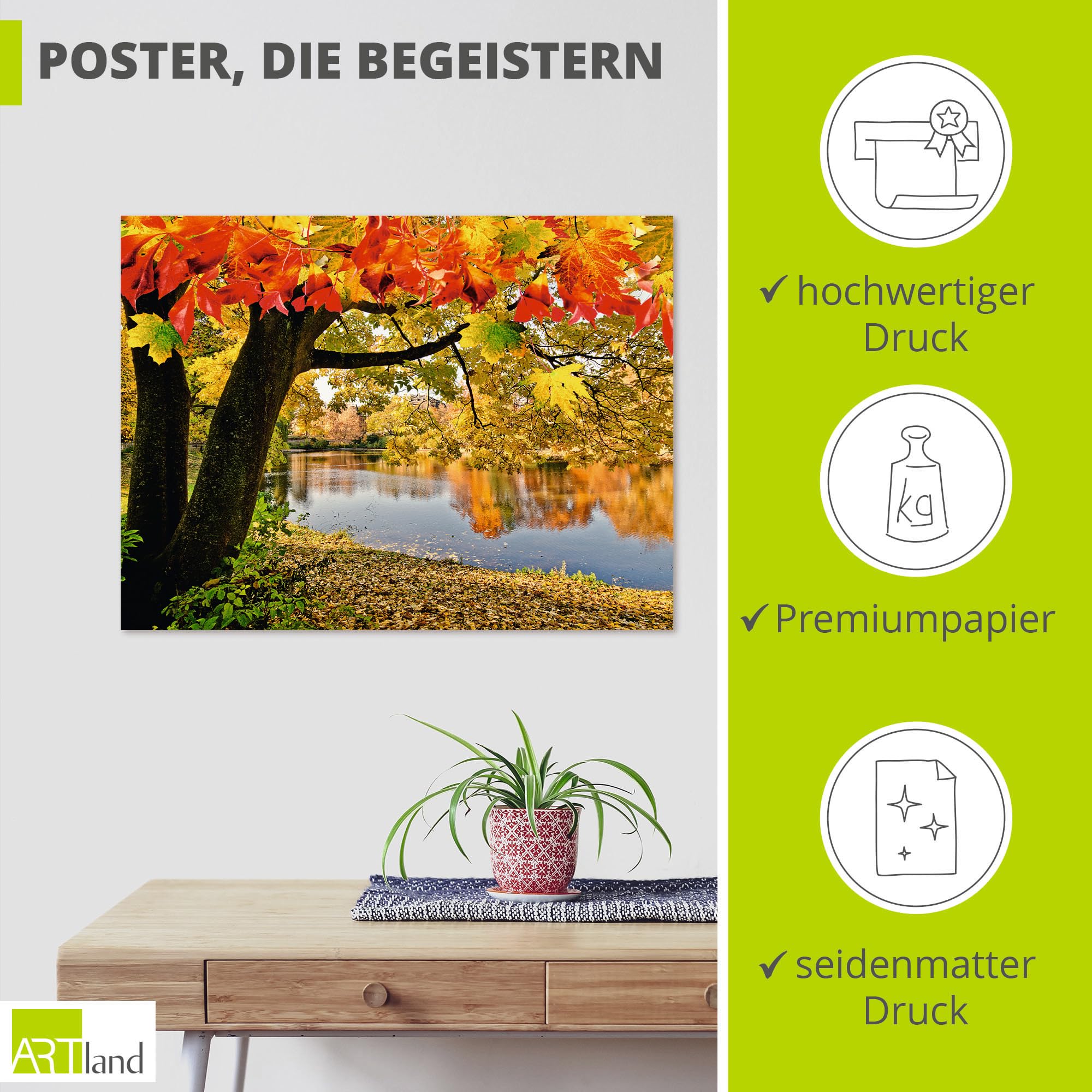 artland-kunstdrucke-poster-80x60-cm-herbstwald-mit-boot-t4sf image 2