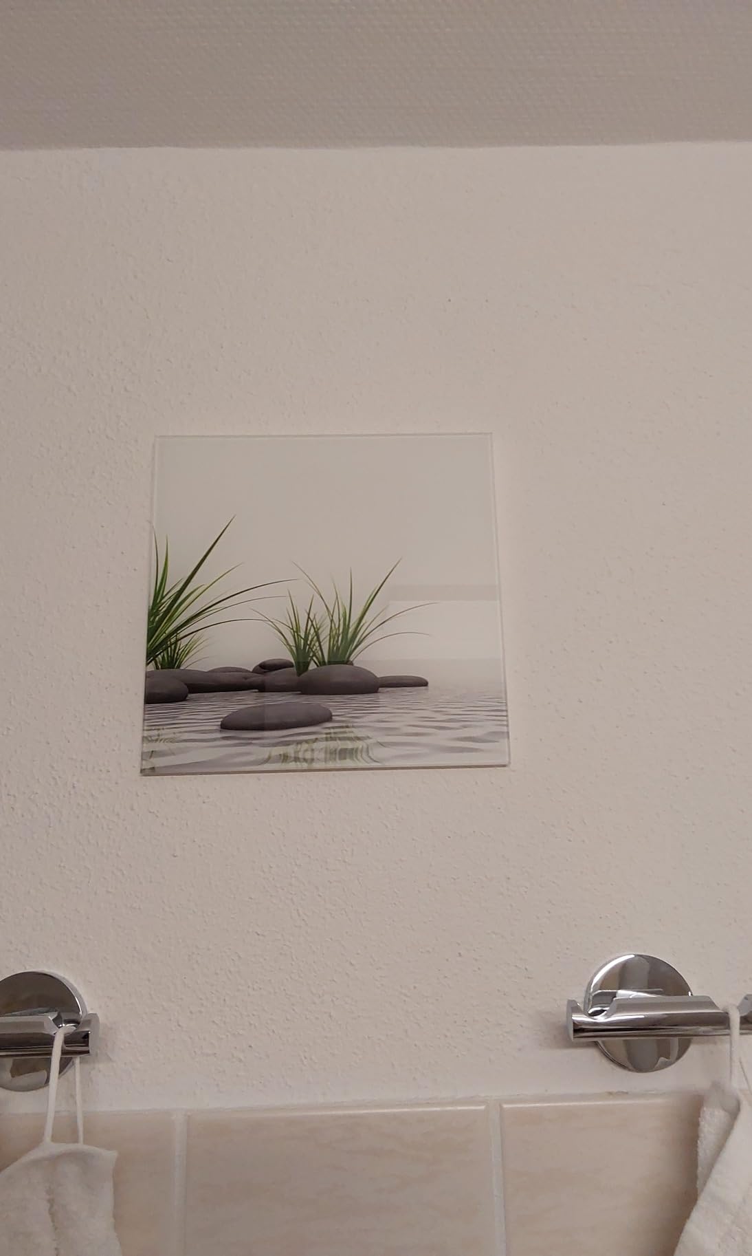 Frosch in der Küche