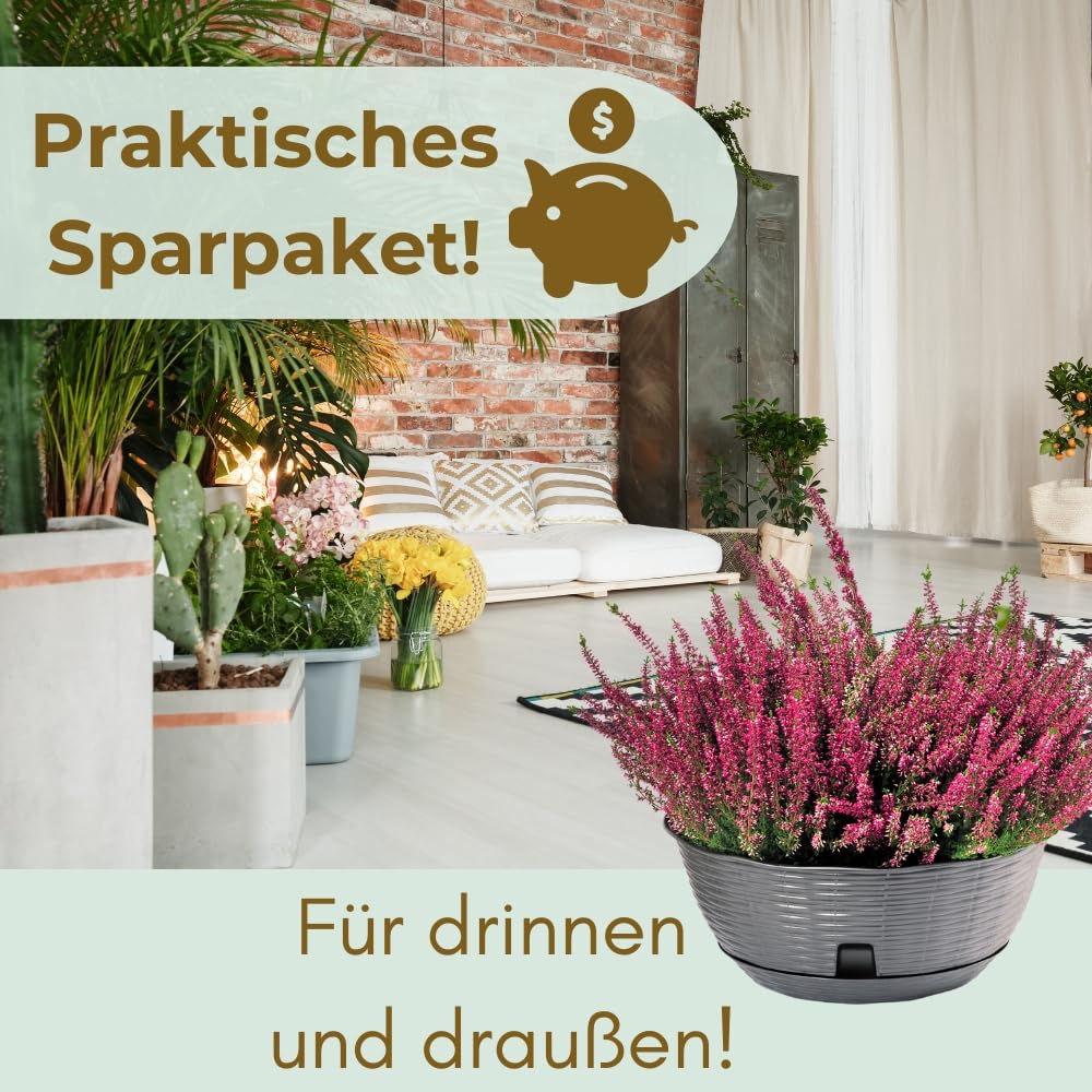 garpet-garten-pflanzschale-anthrazit-30cm-2er-set-untersetzer image 6