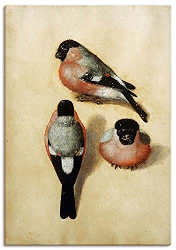 artland-leinwandbilder-gimpel-vogel-leinwandbild-70x50-cm image 6