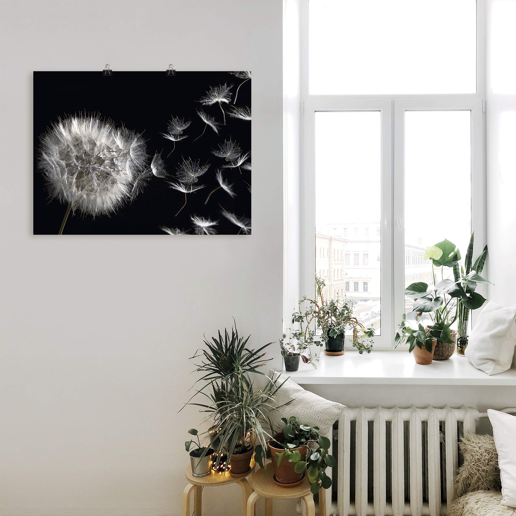 artland-pusteblume-poster-80x60-cm-schwarz-wei image 7