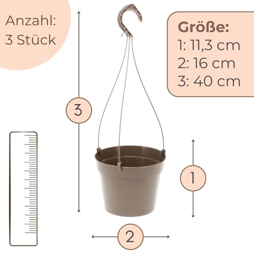 garpet-garten-blumenampel-3er-set-h-ngetopf-16-cm image 8
