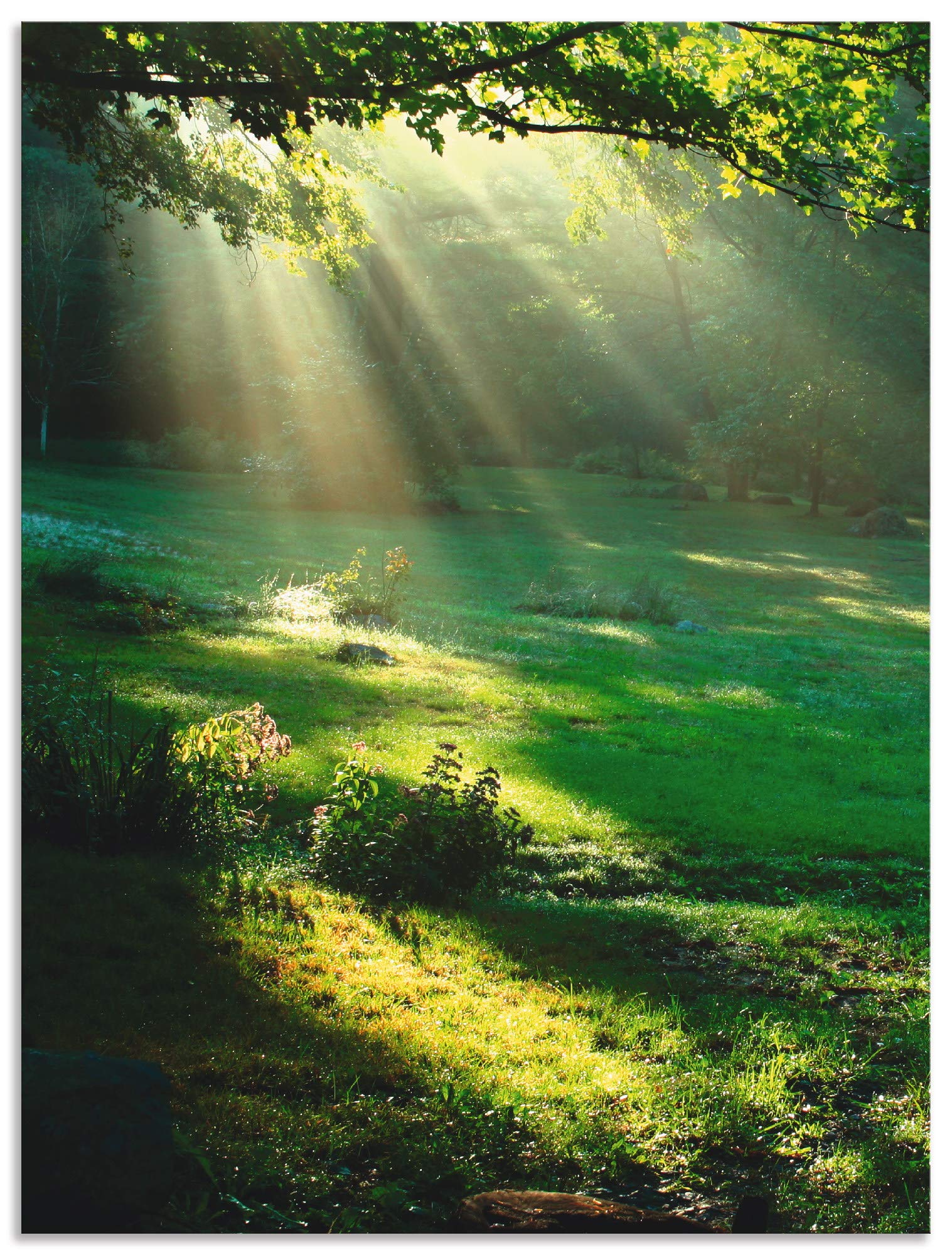 artland-alubilder-wald-angelsteg-120x90-cm-natur-sommer image 8