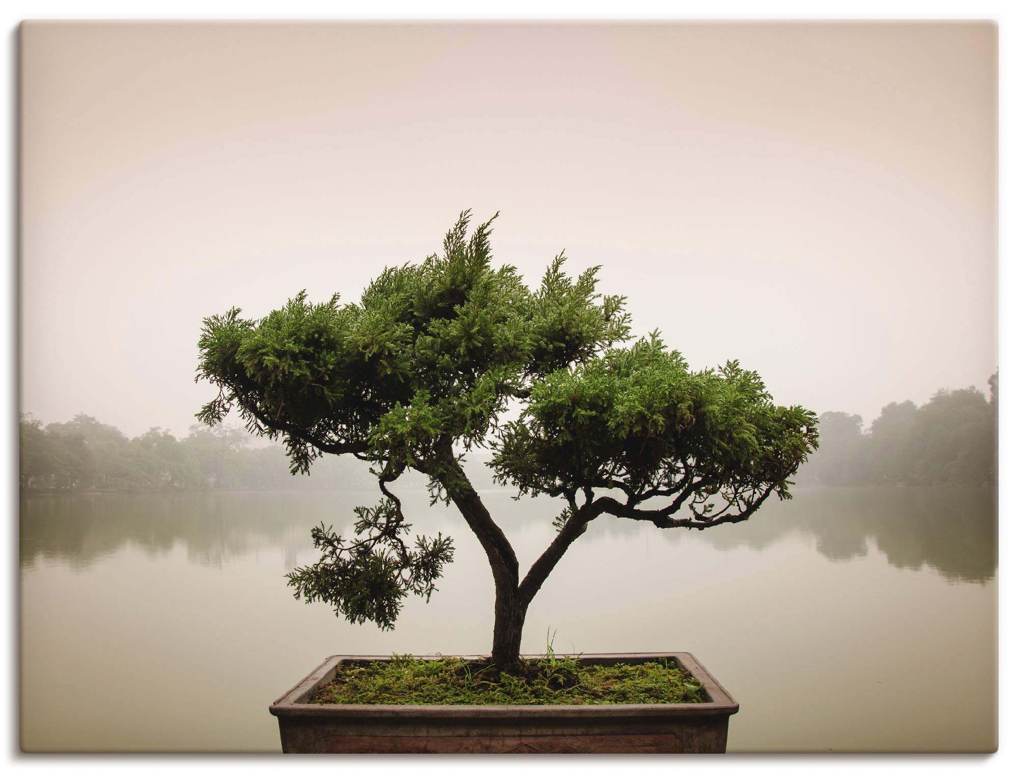 artland-leinwandbilder-fuji-sakura-leinwandbild-120x80-cm image 6