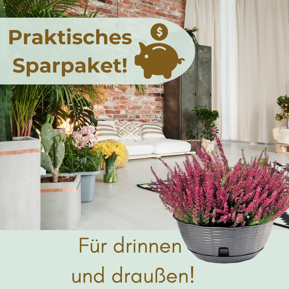 garpet-garten-pflanzschale-40-cm-2er-set-anthrazit-rattan image 6