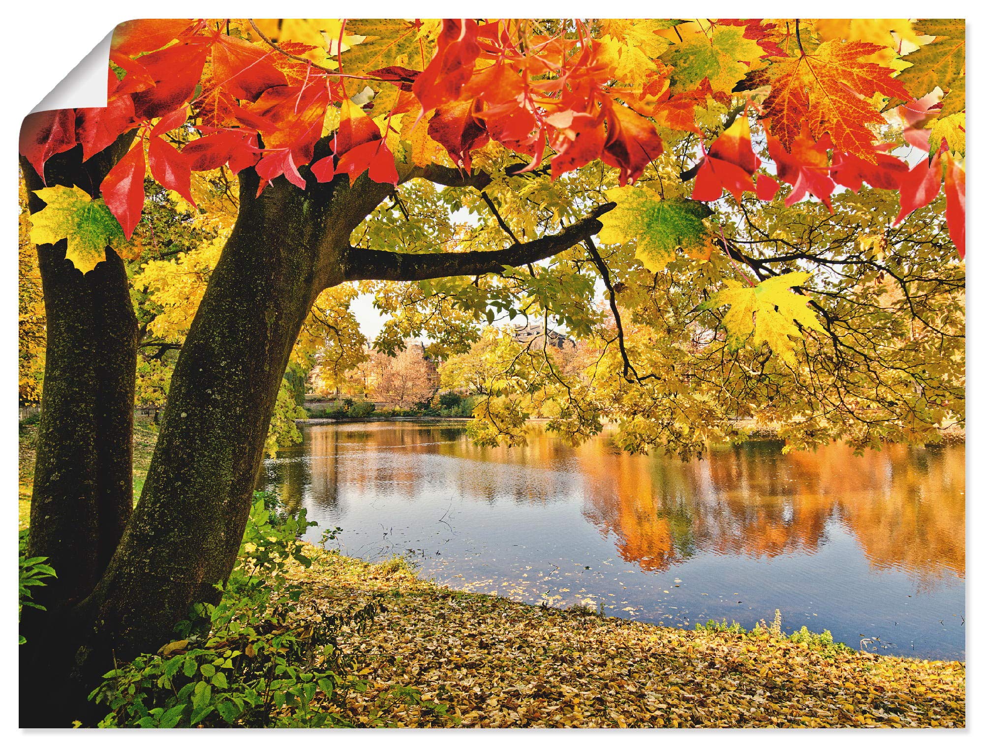 artland-kunstdrucke-poster-80x60-cm-herbstwald-mit-boot-t4sf image 1
