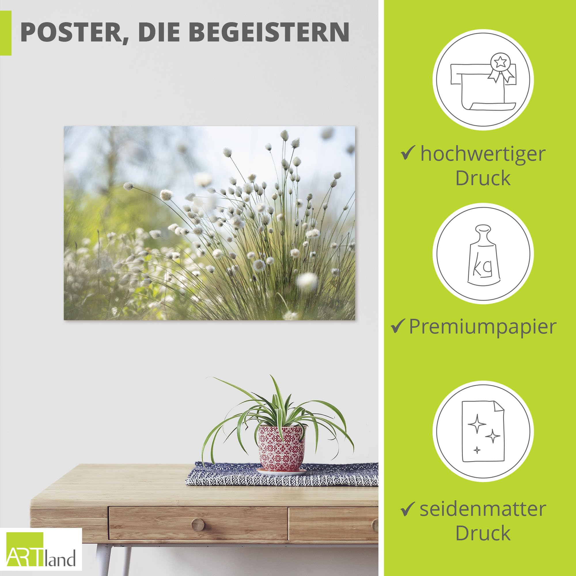 artland-kunstdruck-poster-60x40-wollgras-2-natur-querformat image 2
