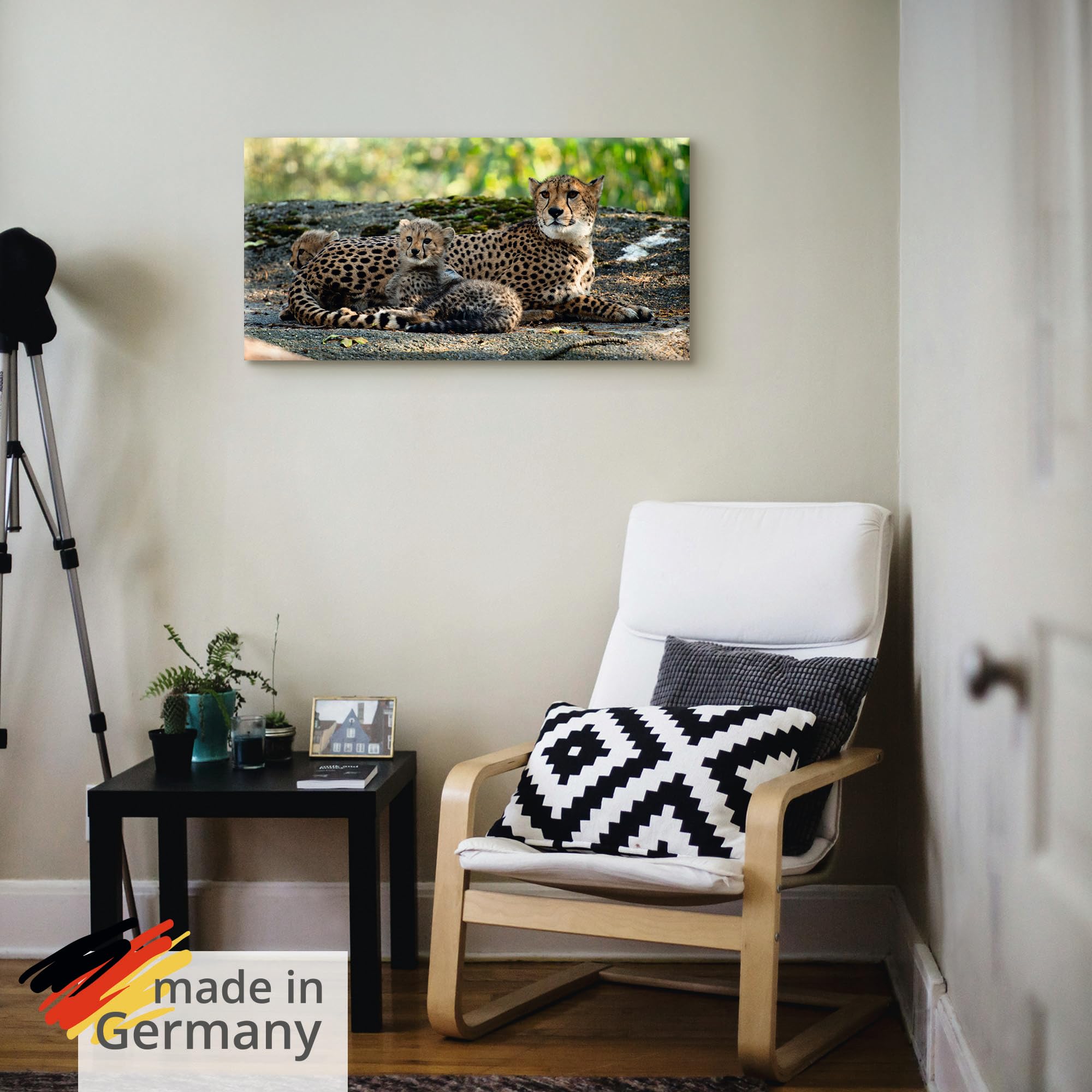 artland-leinwandbilder-s9hy-leinwandbild-60x30-cm-gepard-afrika image 5