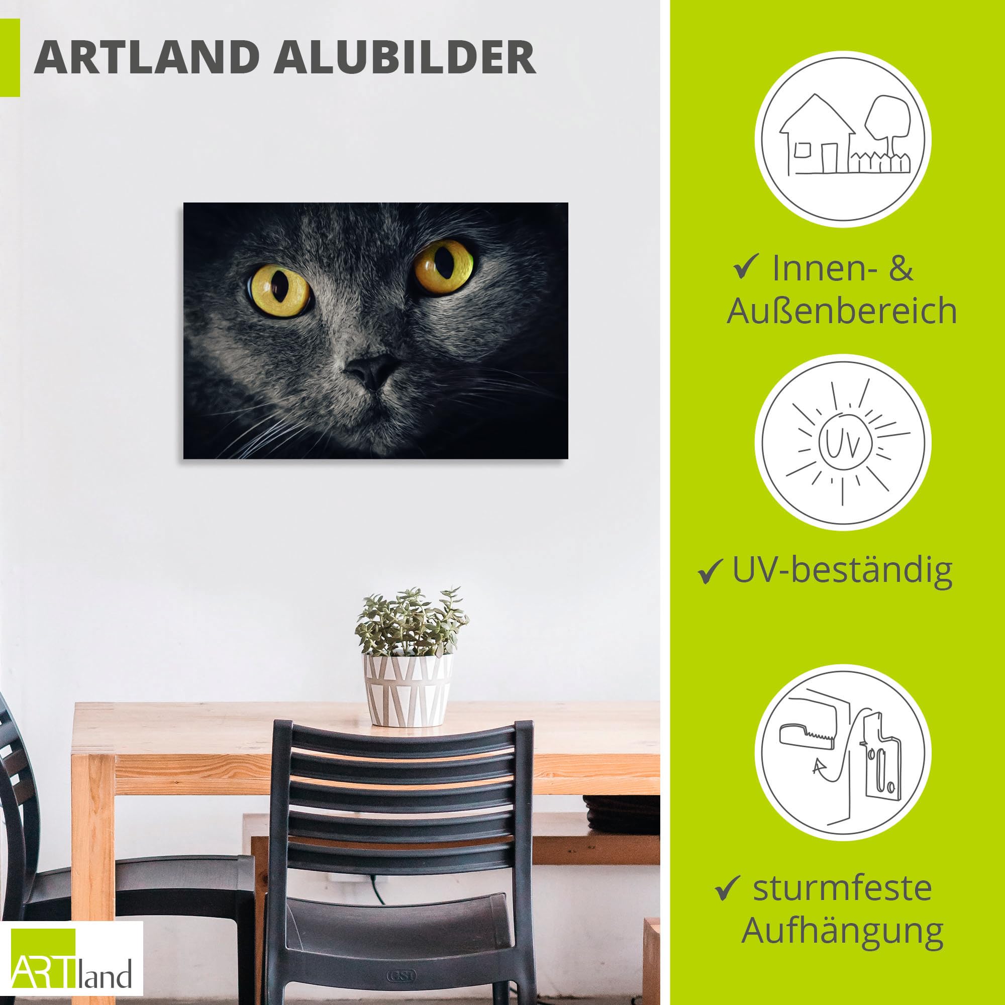 artland-alubilder-d3zu-bild-katzenaugen-30x20cm-outdoor image 3