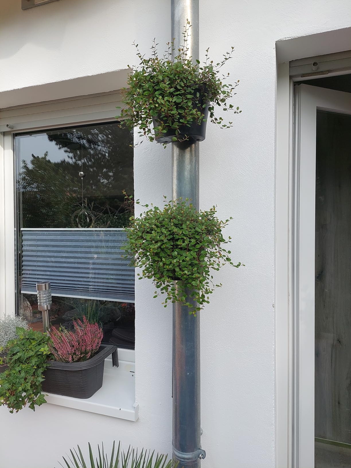Stabil bei Wind