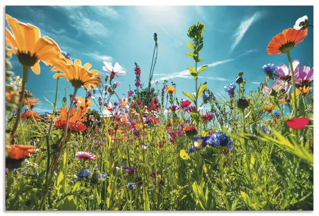 artland-alubilder-blumenfeld-alu-bild-60x40-cm-blumenwiese-outdoor image 1