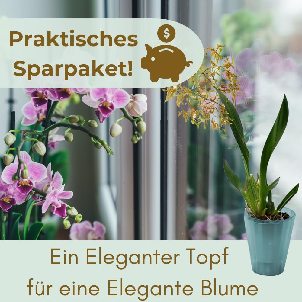 garpet-garten-orchideentopf-transparent-16-cm-4er-set-bertopf image 6