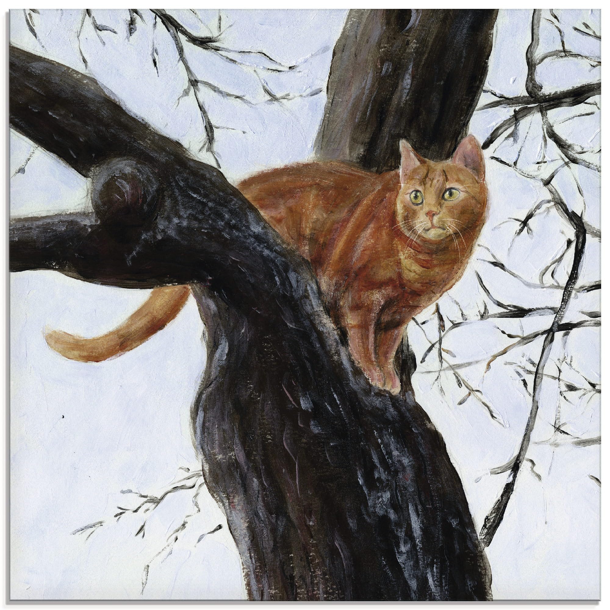 artland-glasbilder-t7su-bild-weisse-katze-60x45cm image 8