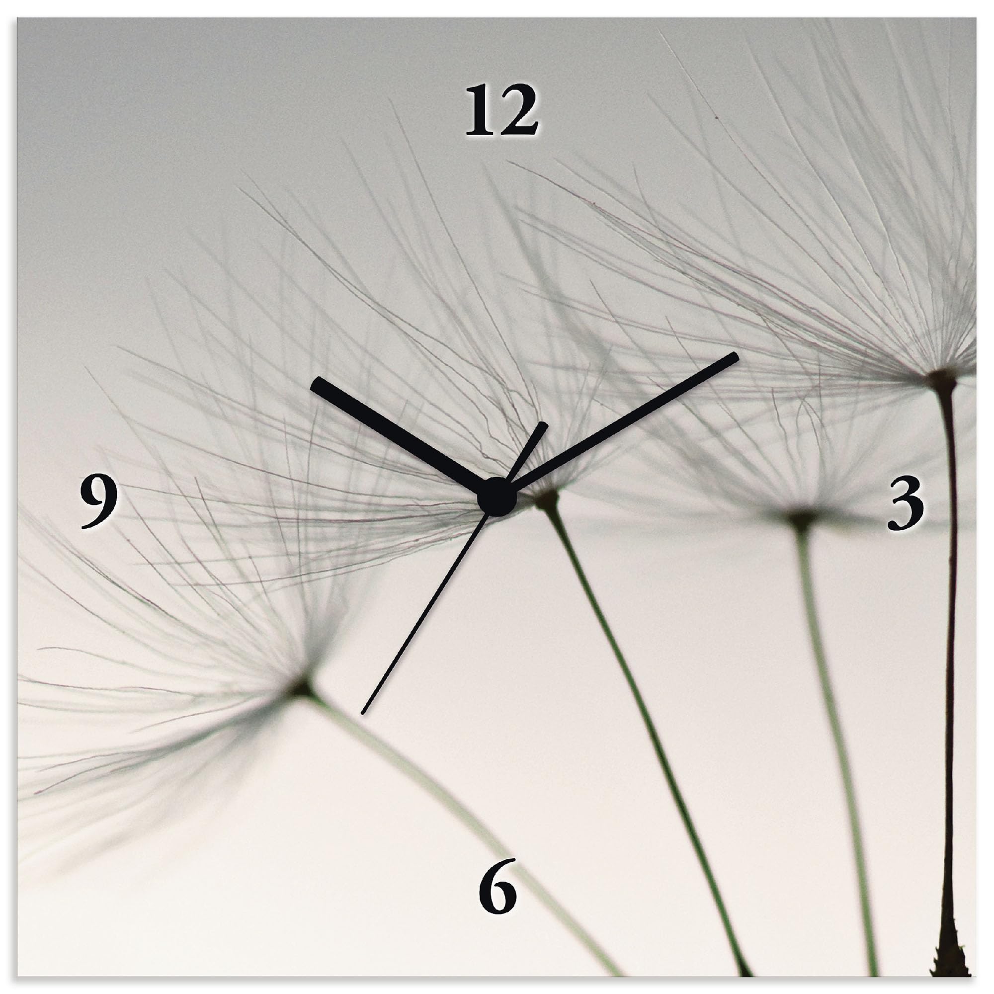 artland-wanduhren-funkuhr-30x30-grau-blumen-pusteblume-t5sq image 1