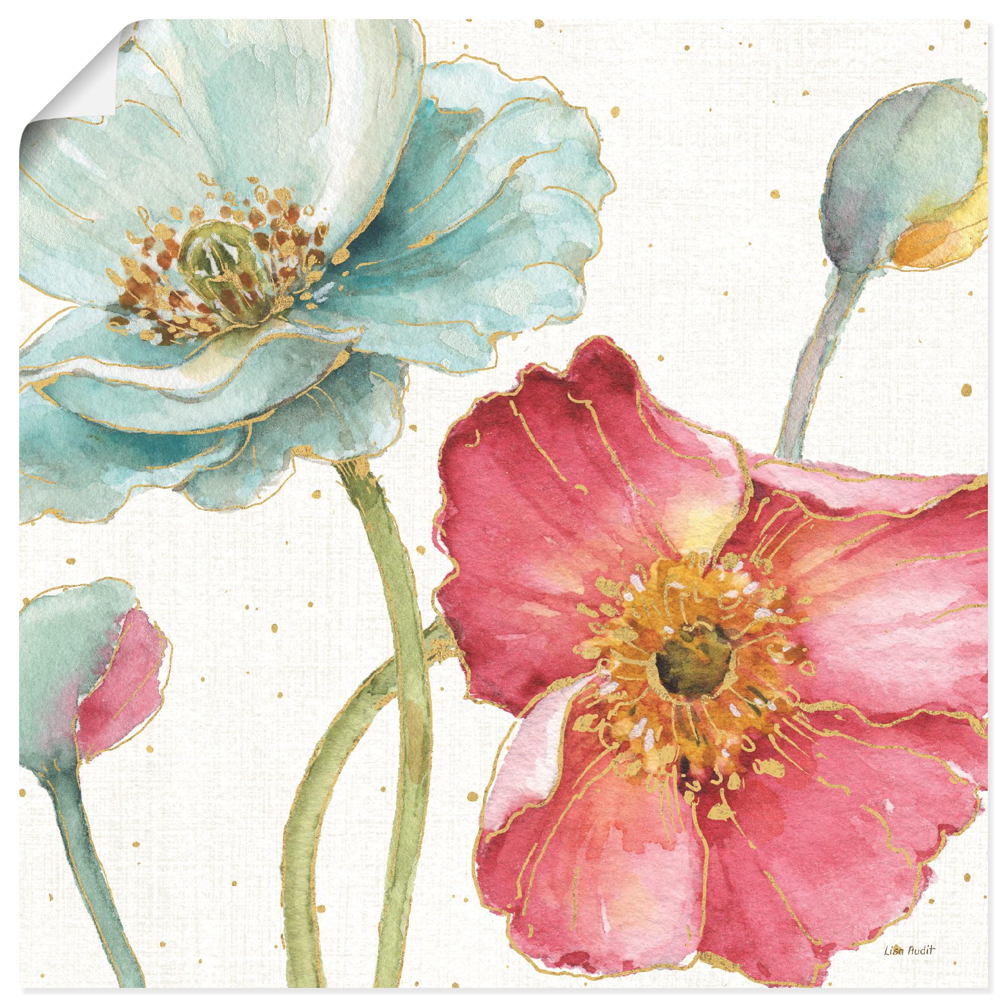 artland-kunstdrucke-u4qn-poster-mohn-mohnblume image 8