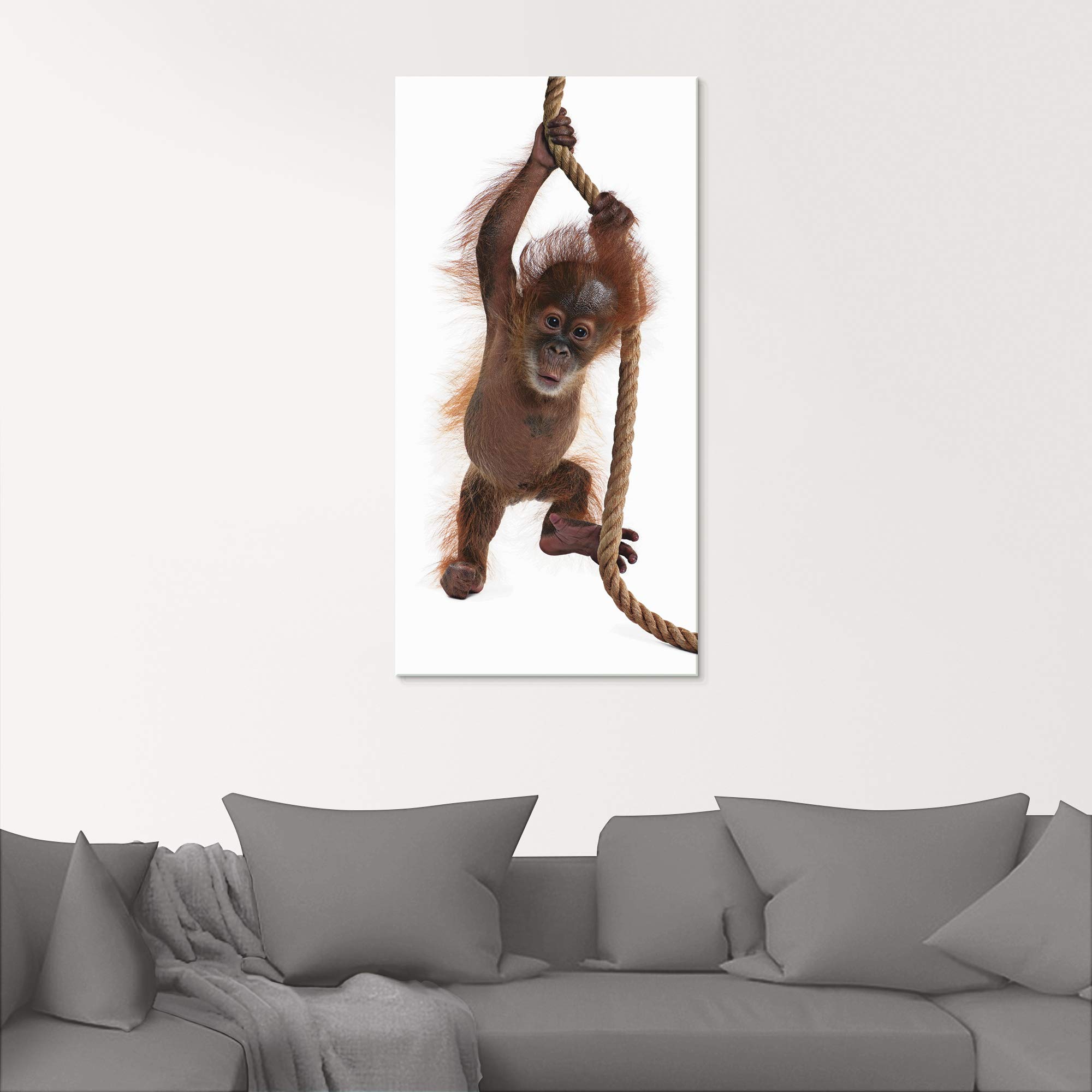 artland-glasbilder-t5ri-glasbild-affe-baby-orang-utan image 8