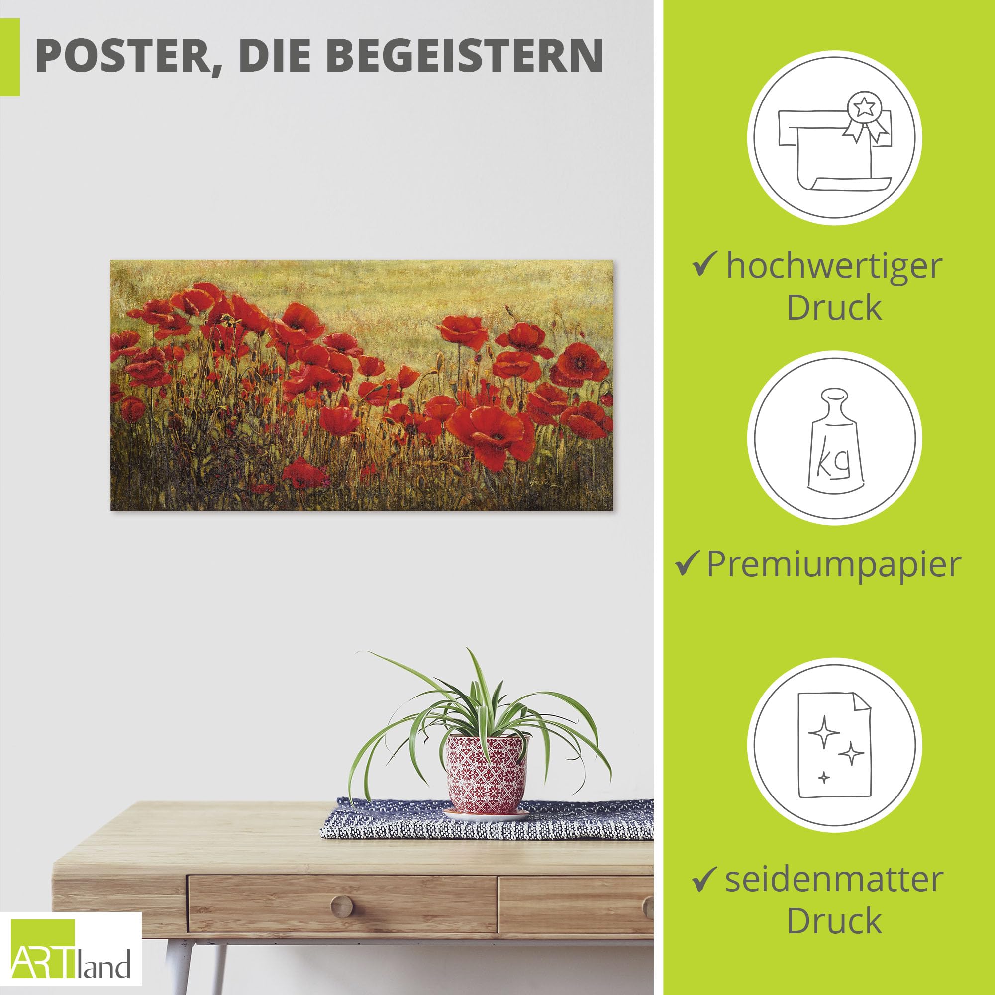 artland-kunstdrucke-mohnblumenwiese-poster-100x50-cm image 2