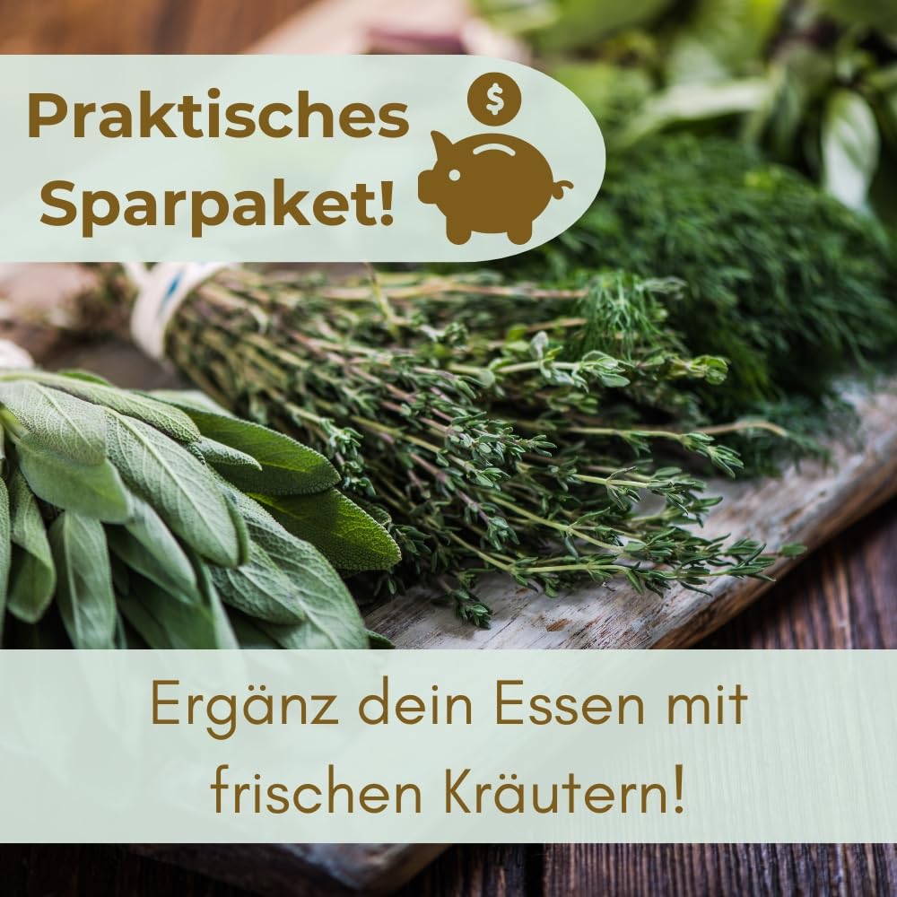 garpet-garten-kr-utertopf-selbstbew-ssernd-4er-set-11cm-elfenbein image 6