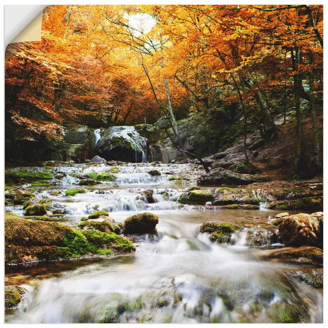 artland-wandaufkleber-t5te-wandtattoo-wald-70x70-cm-vinyl image 1