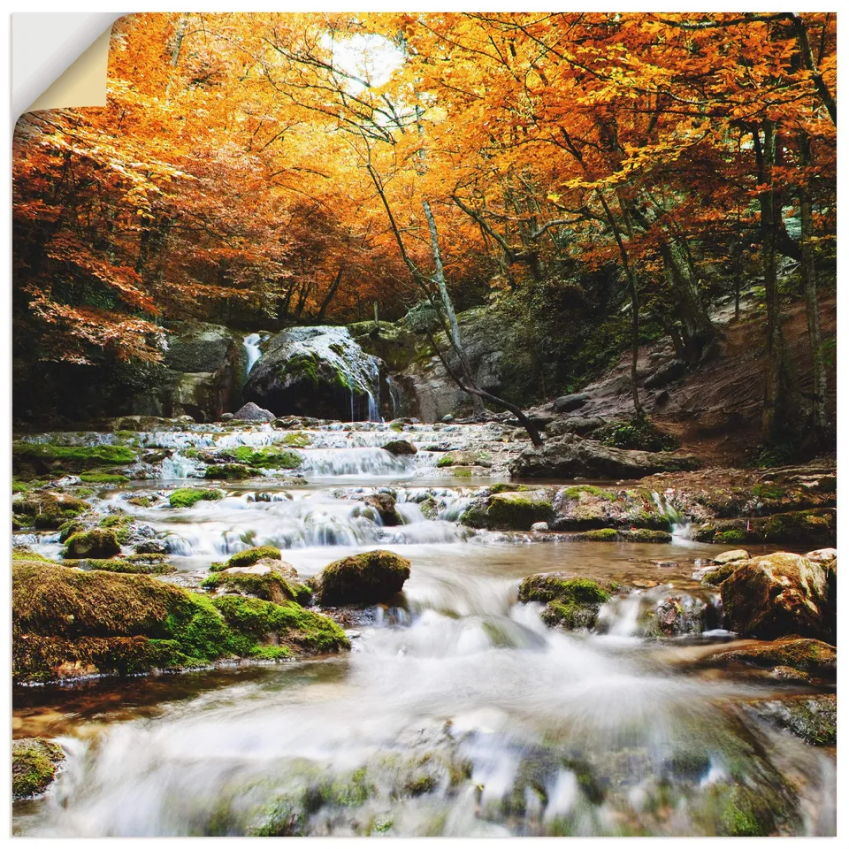 artland-wandaufkleber-t5te-wandtattoo-wald-70x70-cm-vinyl image 1